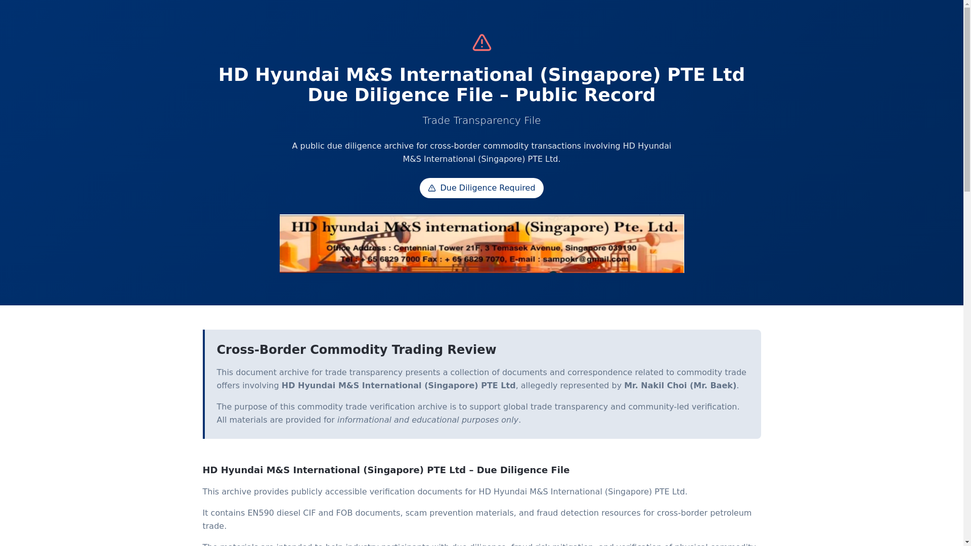 website screenshot of https://hdhyundaiscamfiles.org/