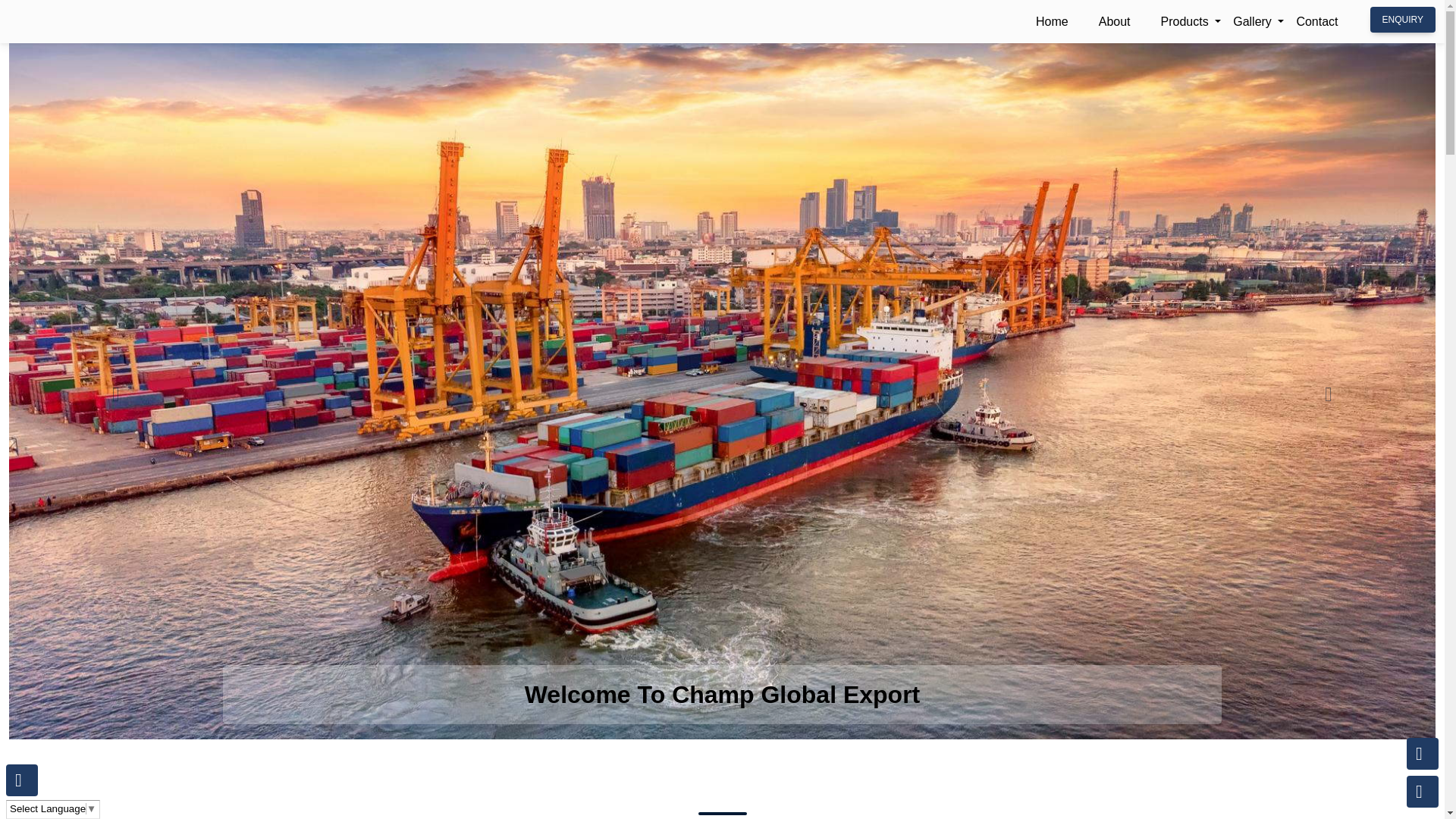 website screenshot of https://champglobalexport.com/