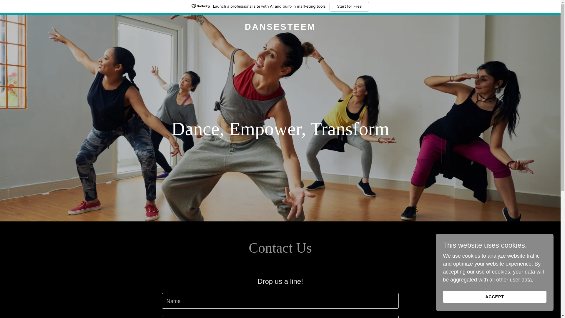 website screenshot of https://dansesteem.com/