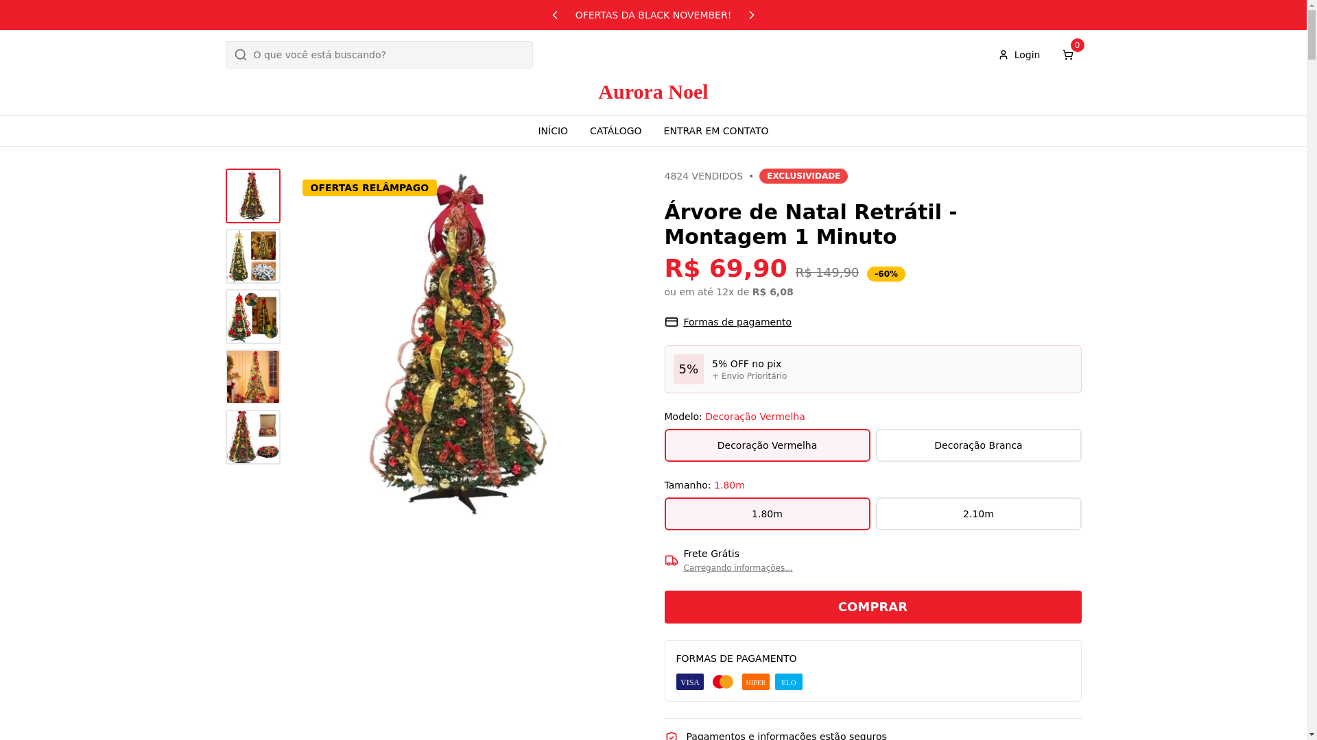 website screenshot of https://auroranoel.shop/