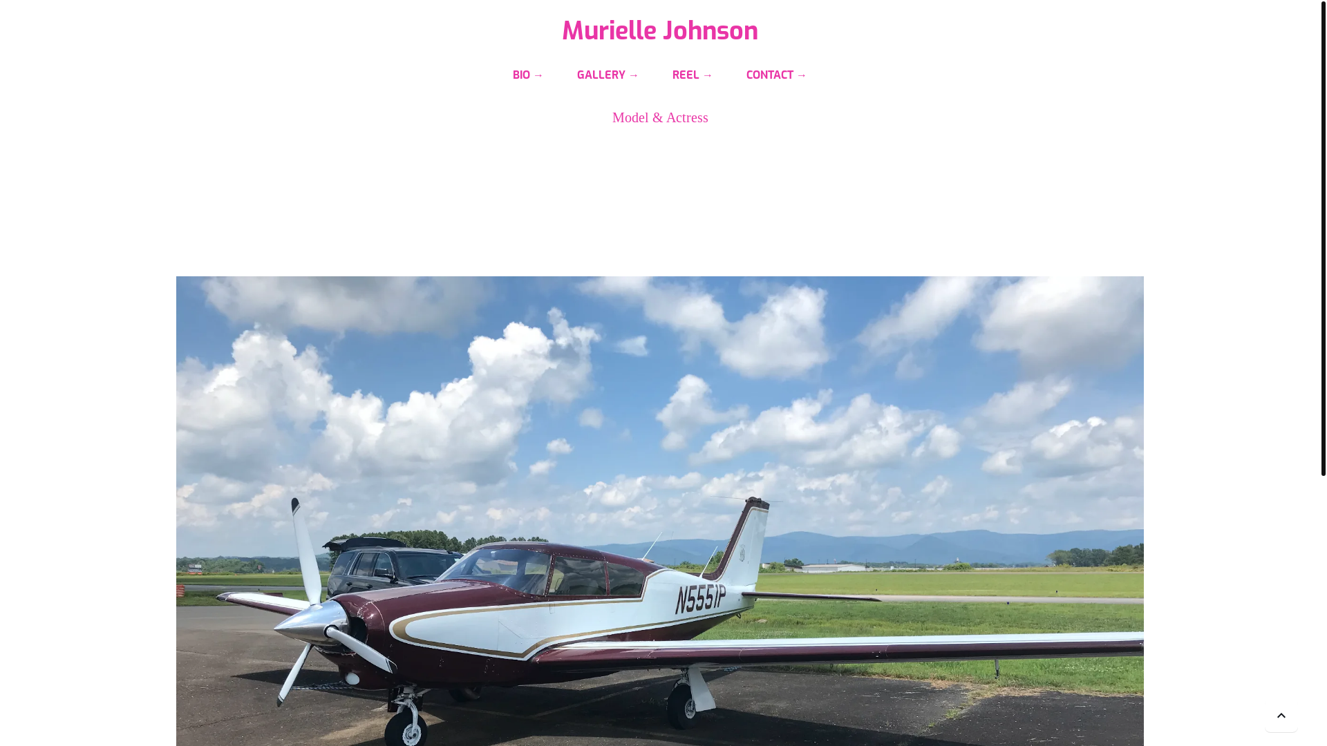 website screenshot of https://fontefly.com/