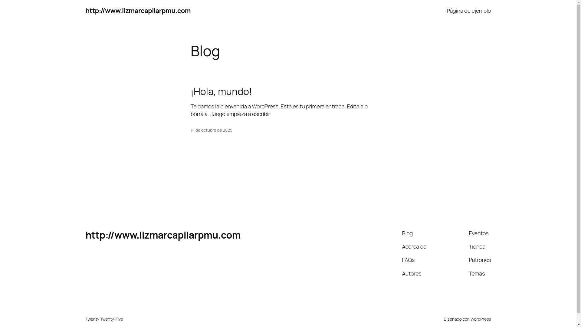 website screenshot of https://lizmarcapilarpmu.com/