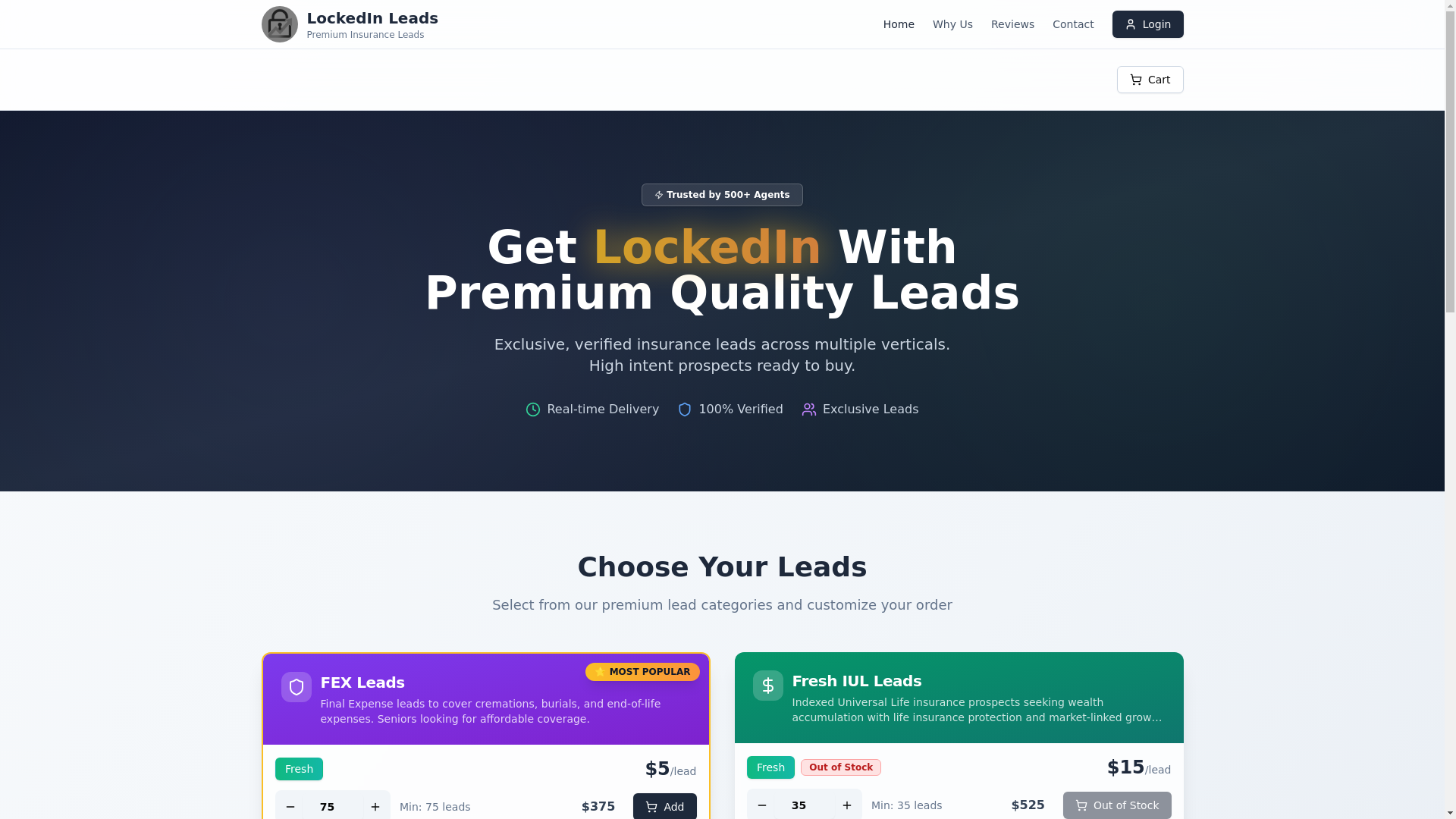 website screenshot of https://locked-in-leads.com/