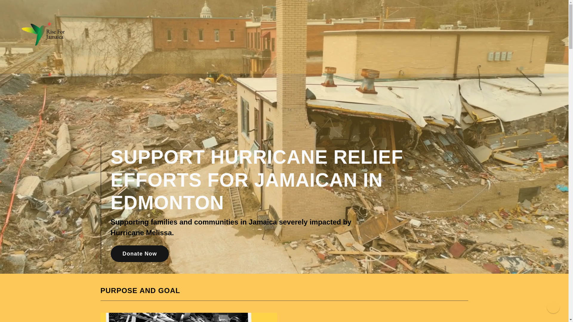 website screenshot of https://riseforjamaica.org/