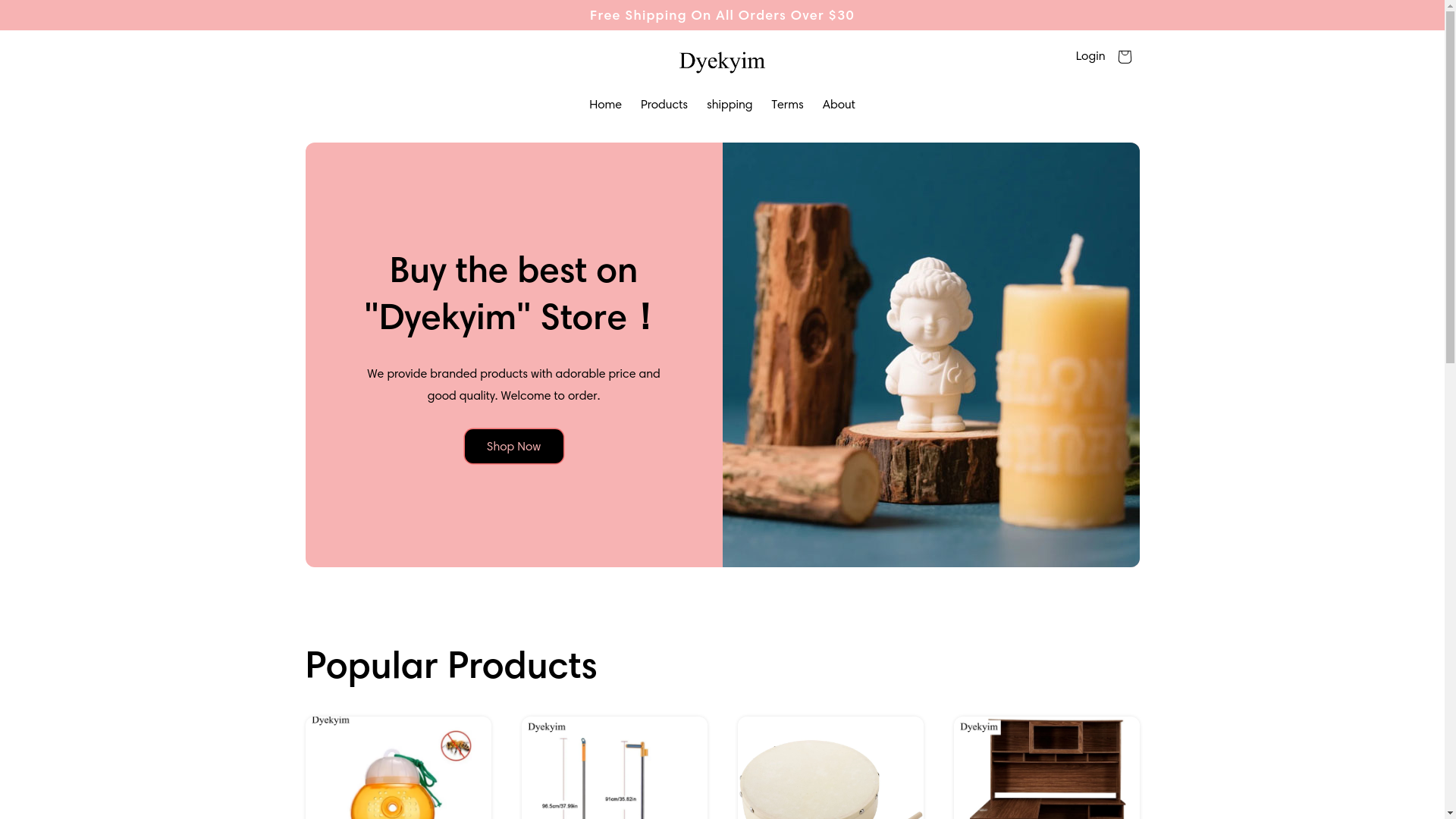 website screenshot of https://dyekyim.xyz/