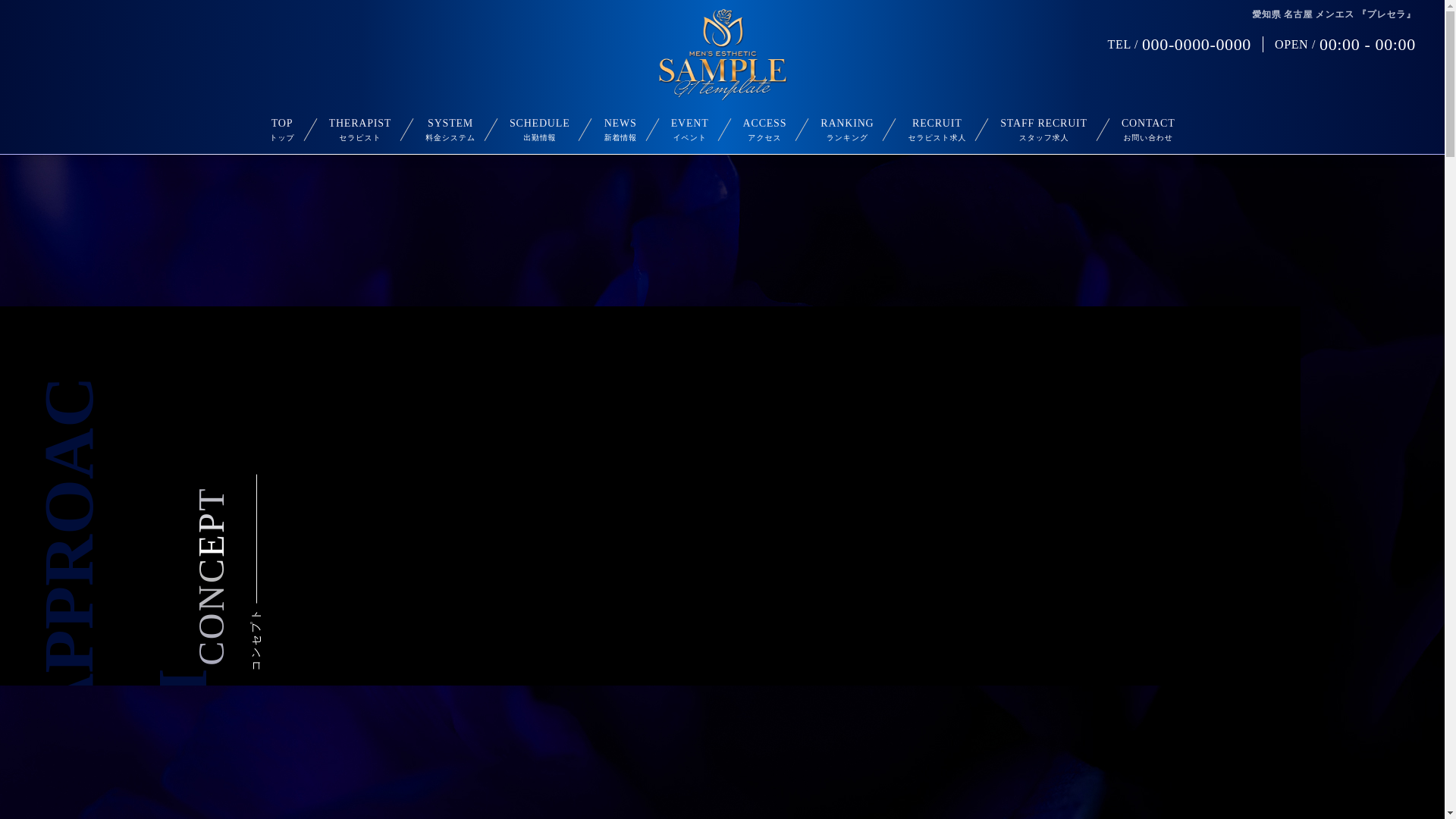 website screenshot of https://premium-therapist.com/