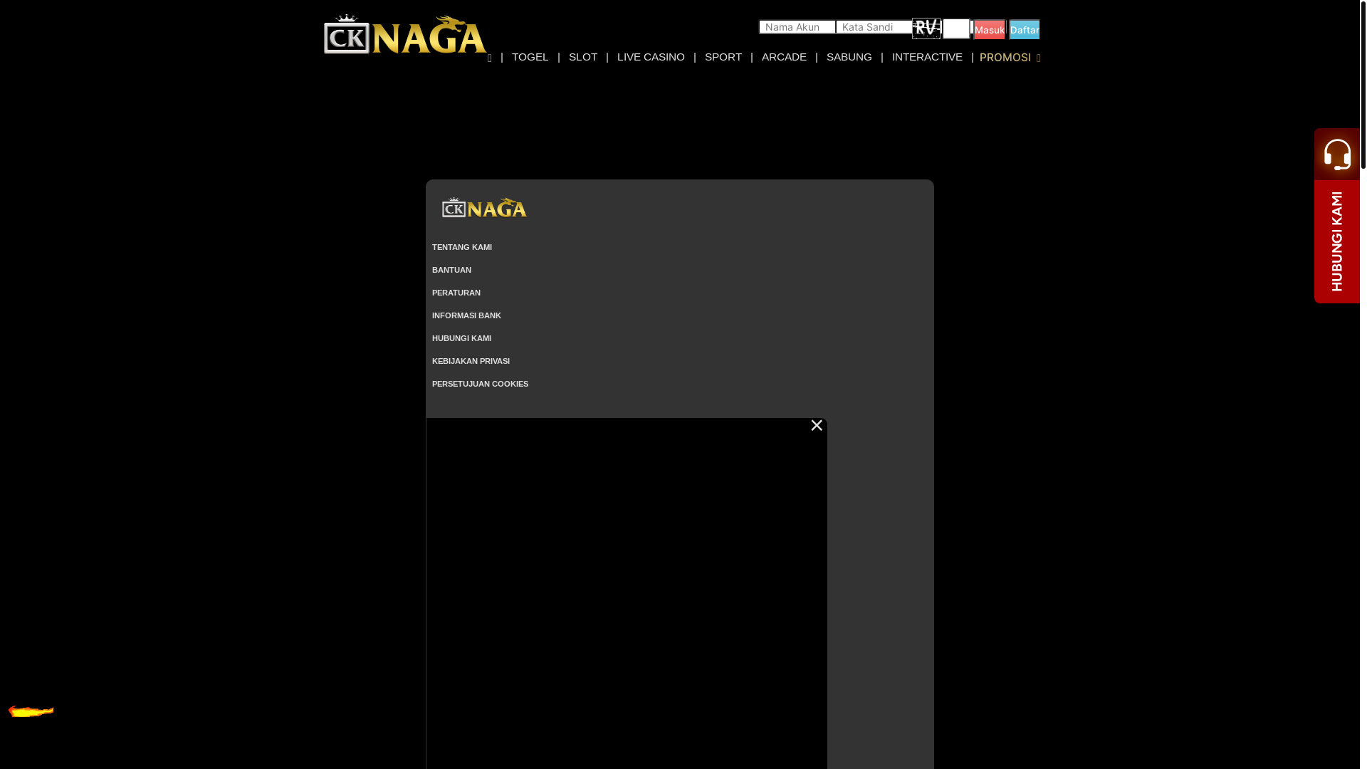 website screenshot of https://cknaga.space/