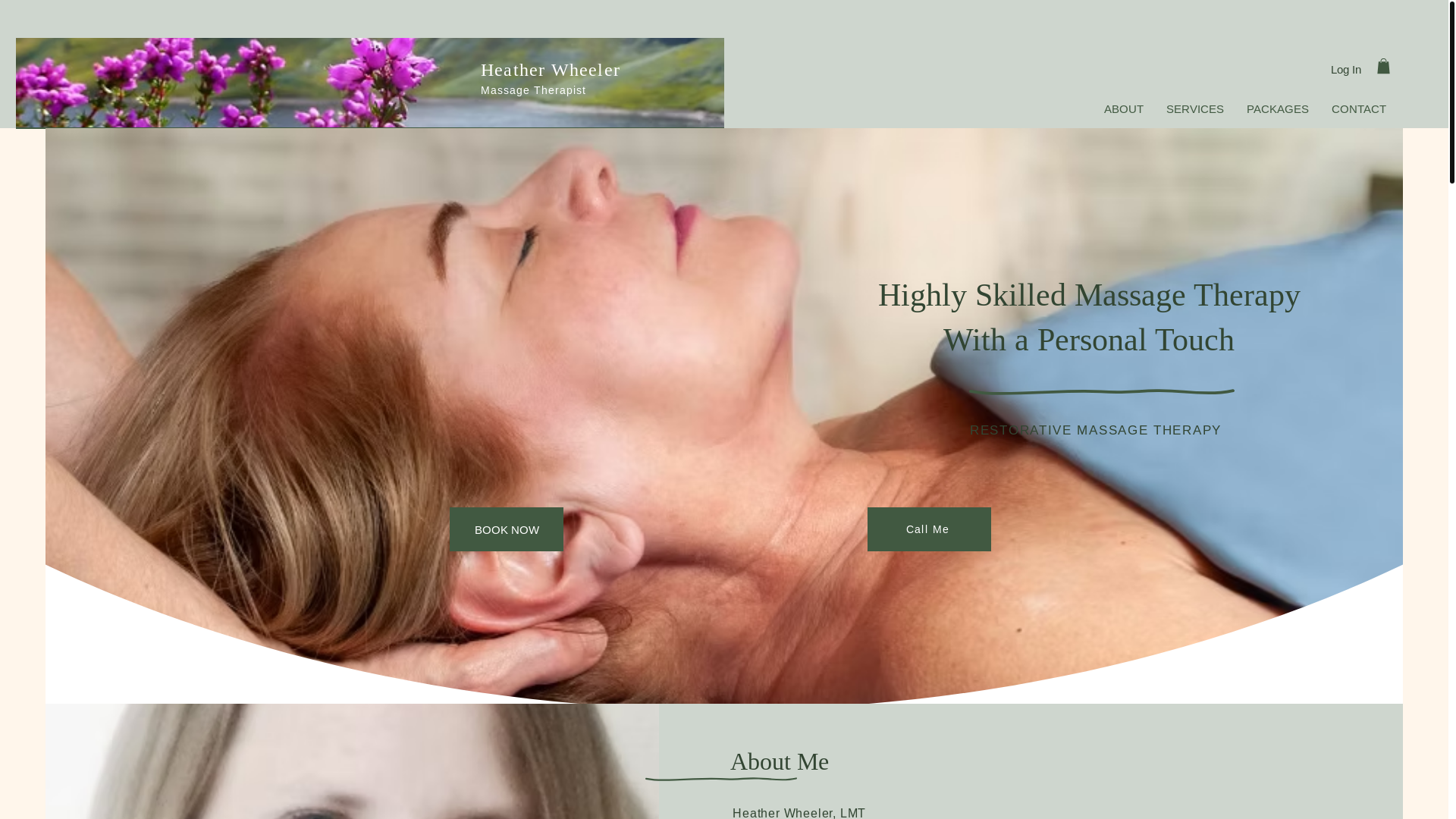 website screenshot of https://igotyourback-denver.com/