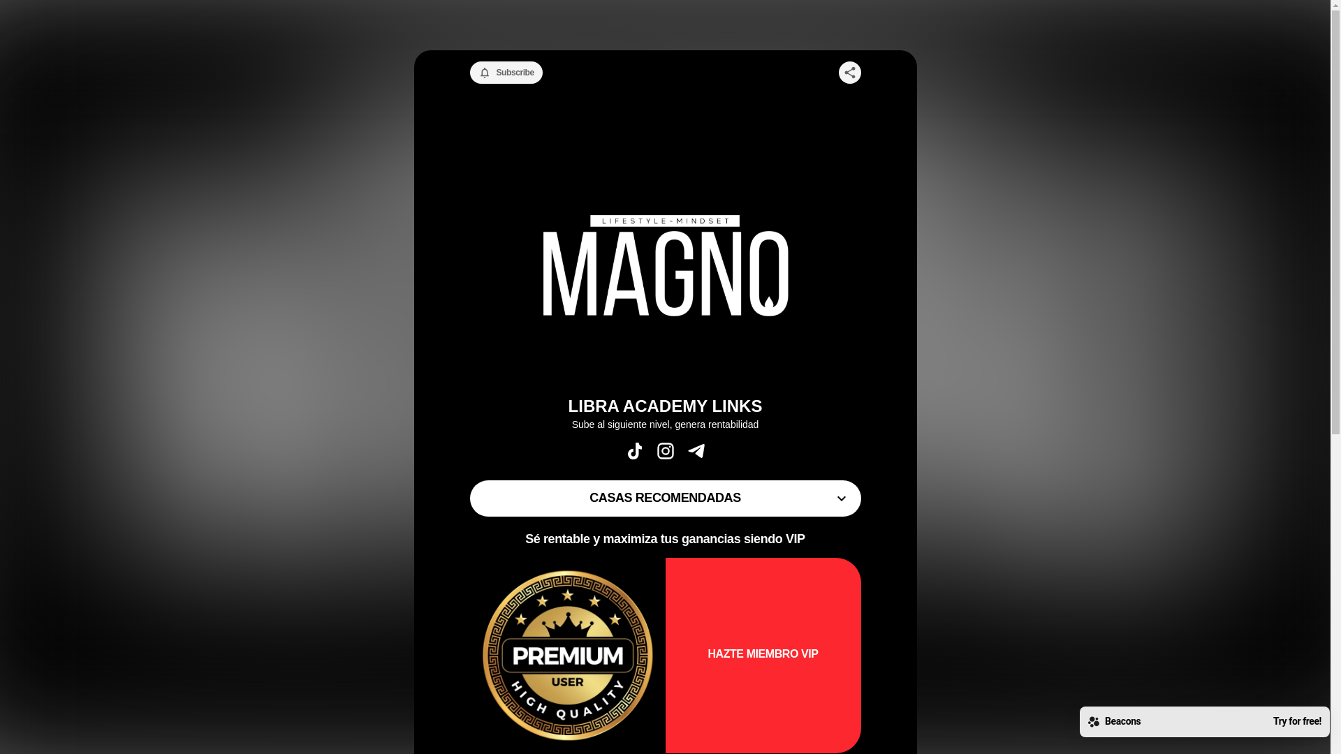 website screenshot of https://libratipster.store/