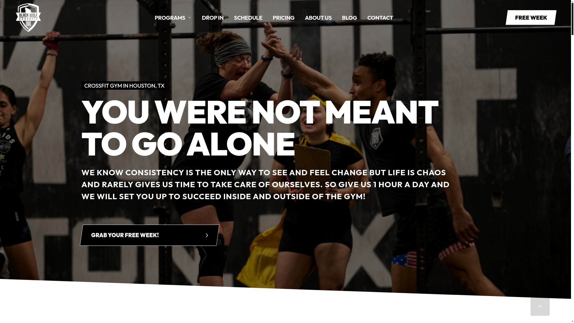 website screenshot of https://blackwolffitnessandwellness.com/