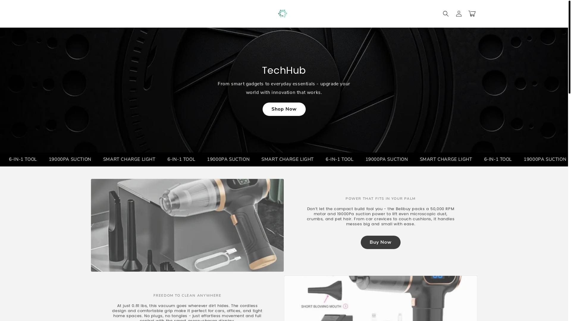 website screenshot of https://webtechhubsolutions.store/
