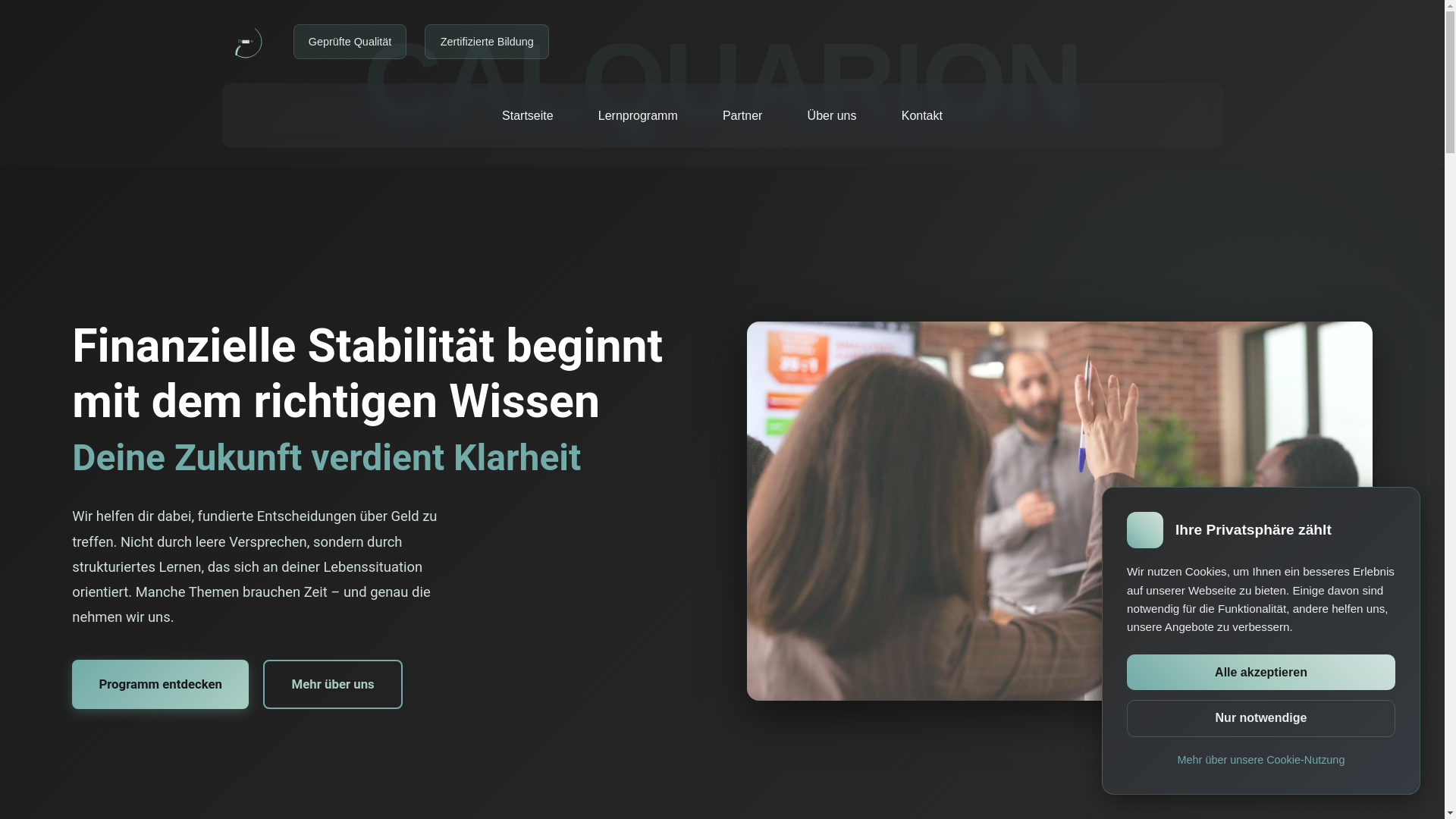 website screenshot of https://calquarion.com/
