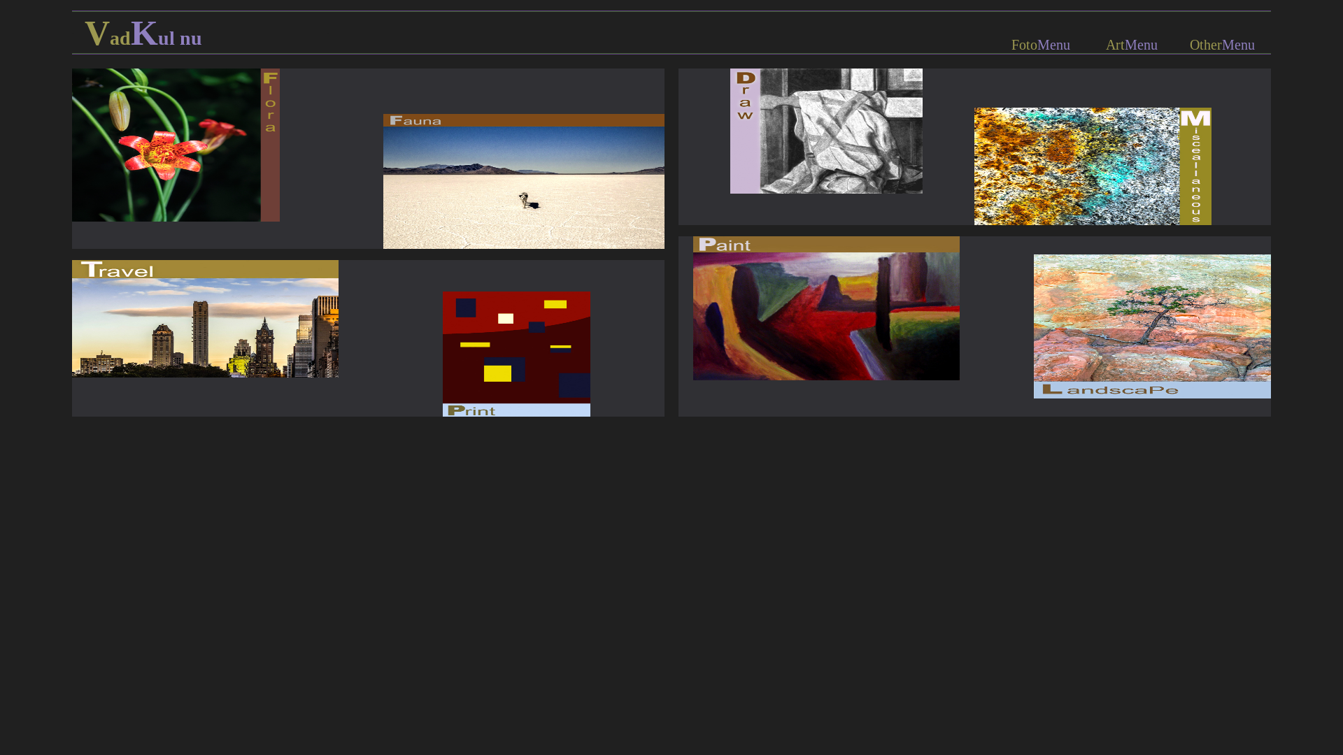website screenshot of https://vadkul.com/