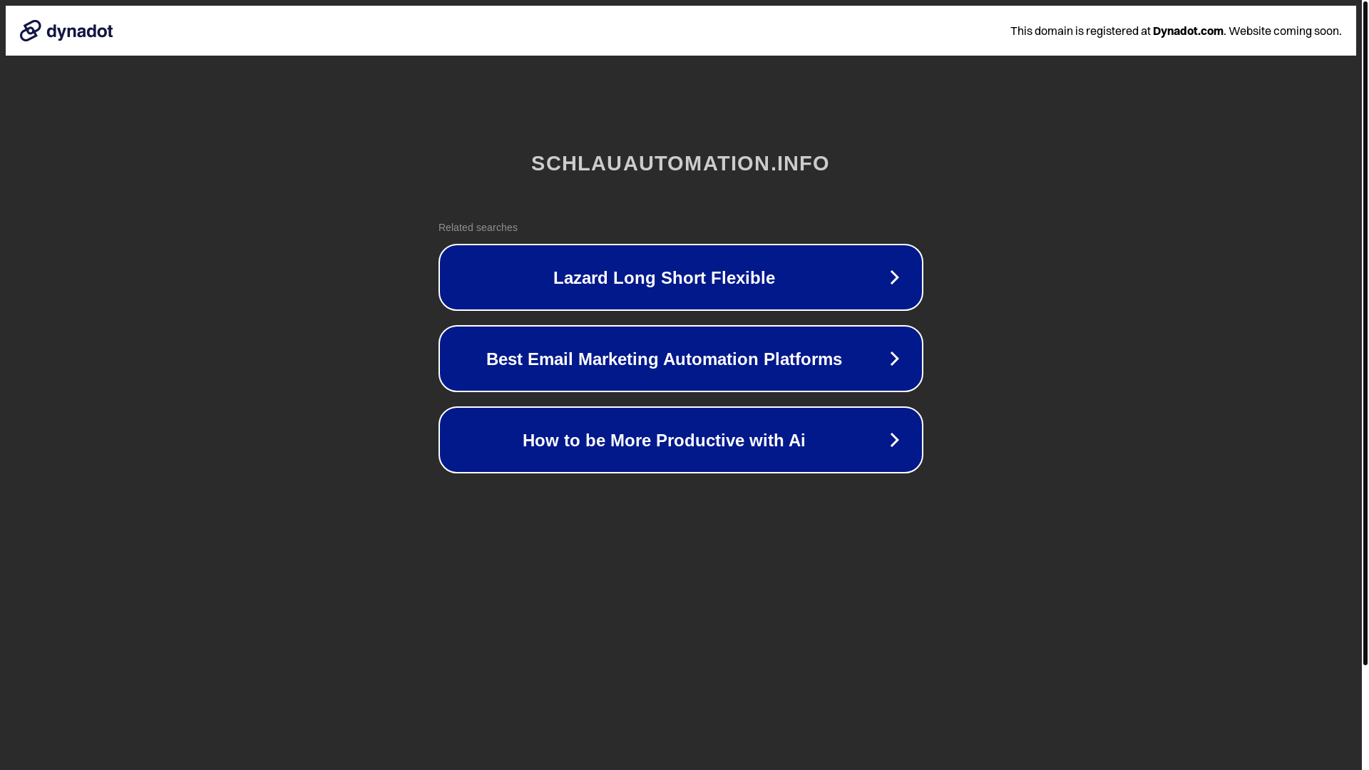 website screenshot of https://schlauautomation.info/