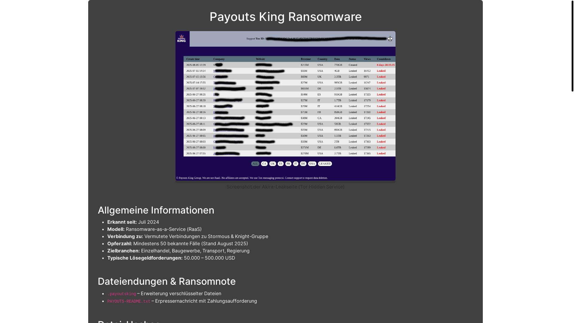 website screenshot of https://payoutsking-ransomware.de/