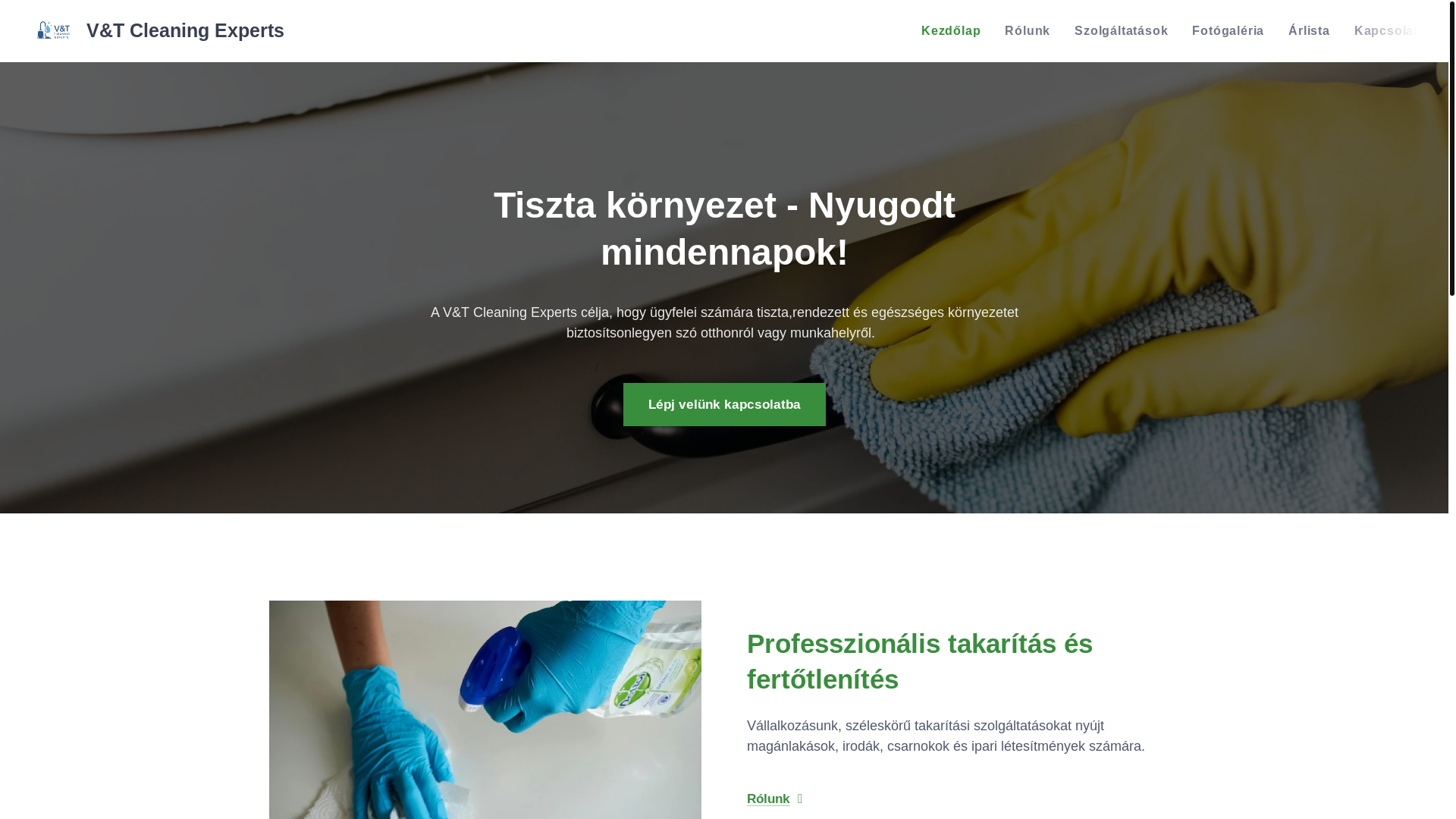 website screenshot of https://vtclean.hu/