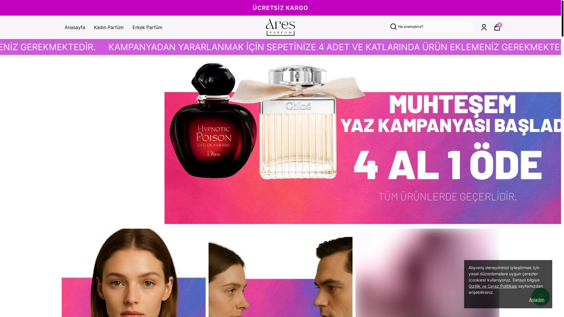 website screenshot of https://vaneshaparfum.com.tr/