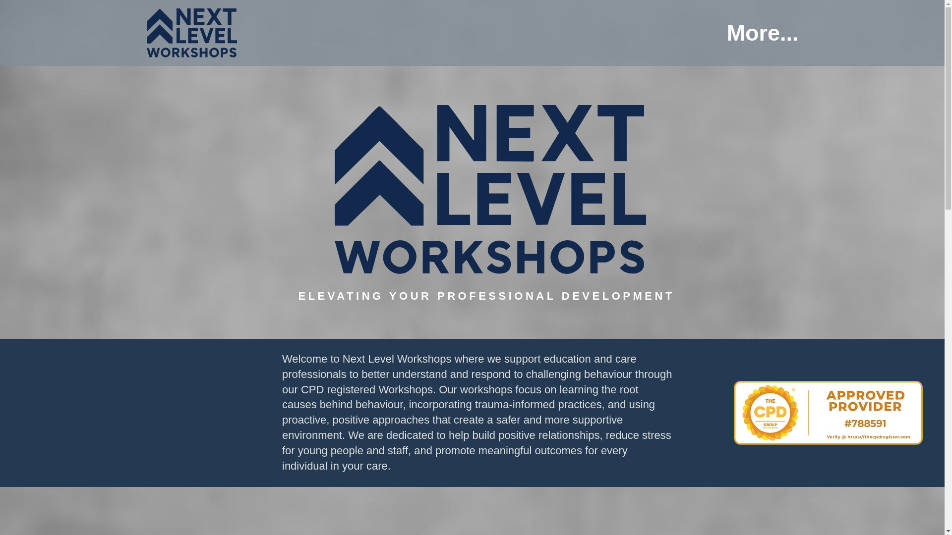 website screenshot of https://nextlevelworkshops.co.uk/