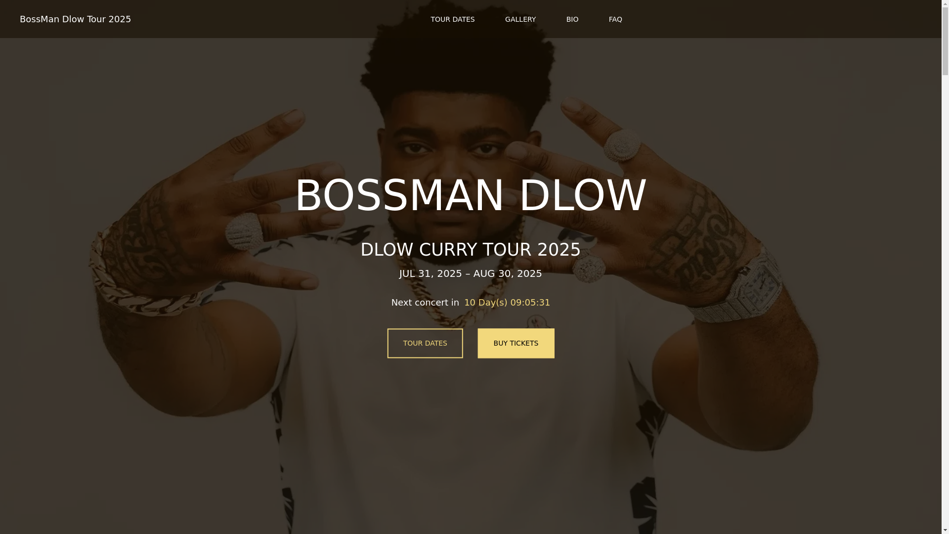 website screenshot of https://bossmandlowtour-info-github-io.pages.dev/