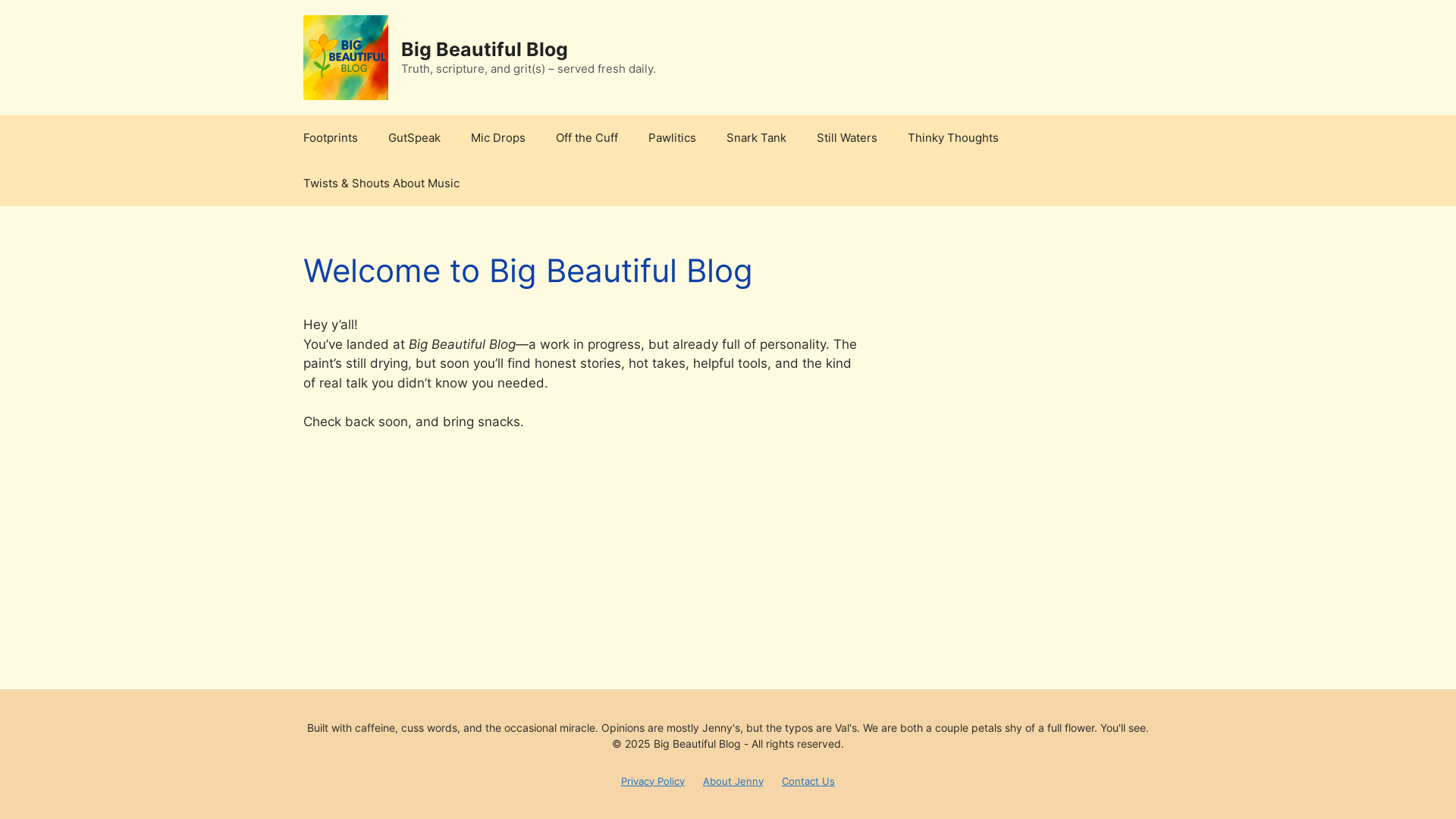 website screenshot of https://bigbeautifulblog.com/