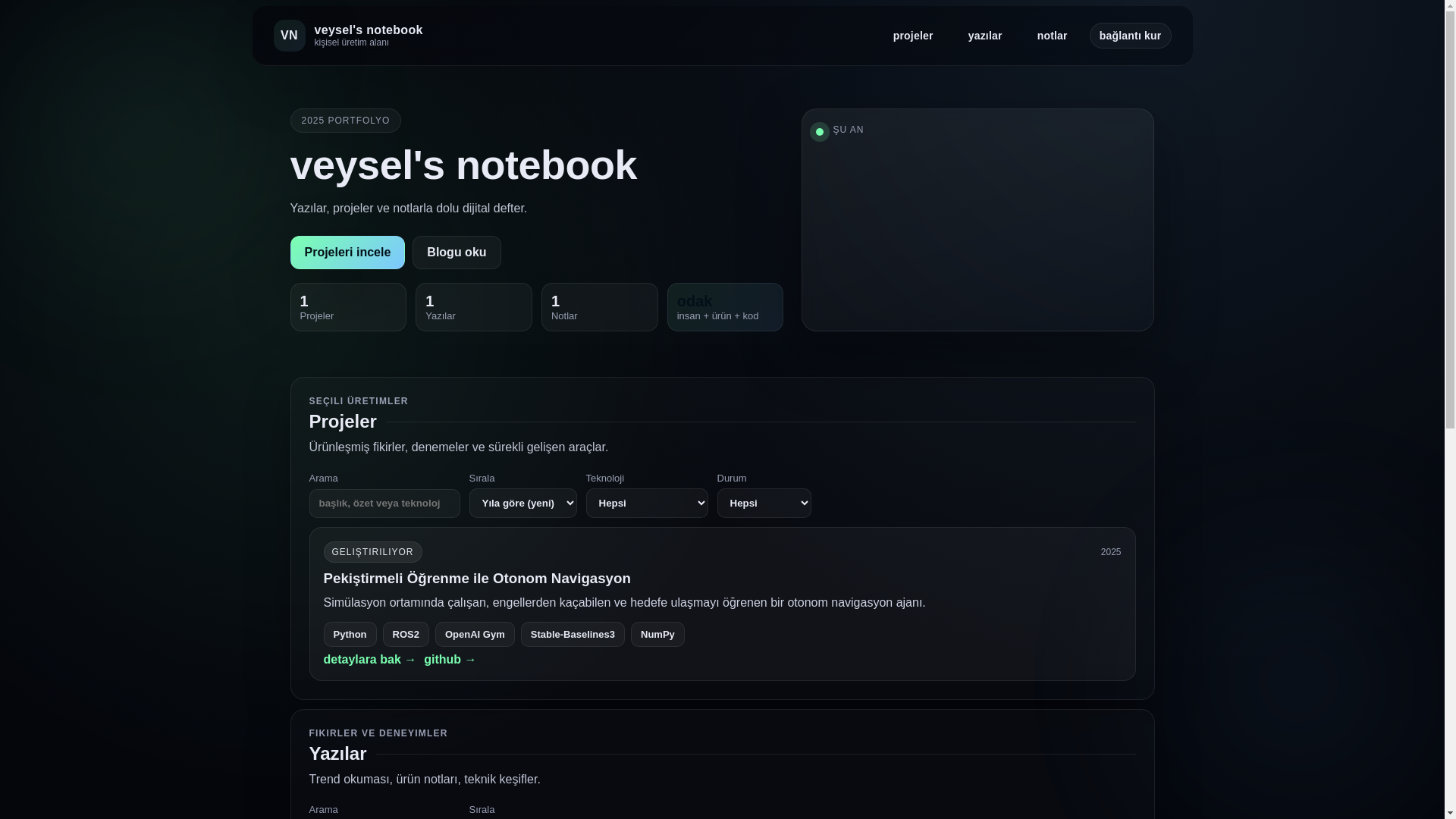 website screenshot of https://veyselolam.com/
