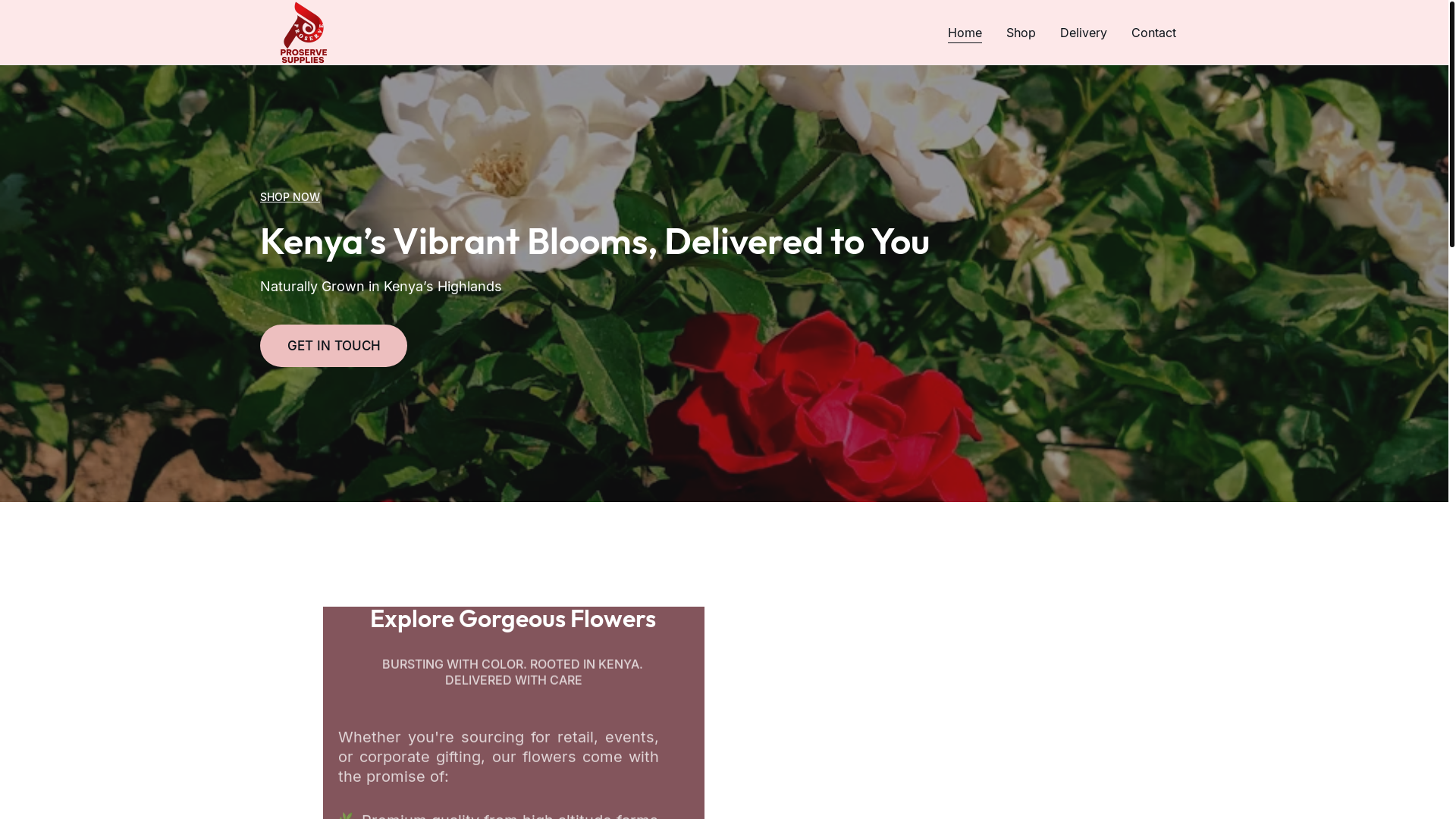 website screenshot of https://proservesuppliesltd.com/