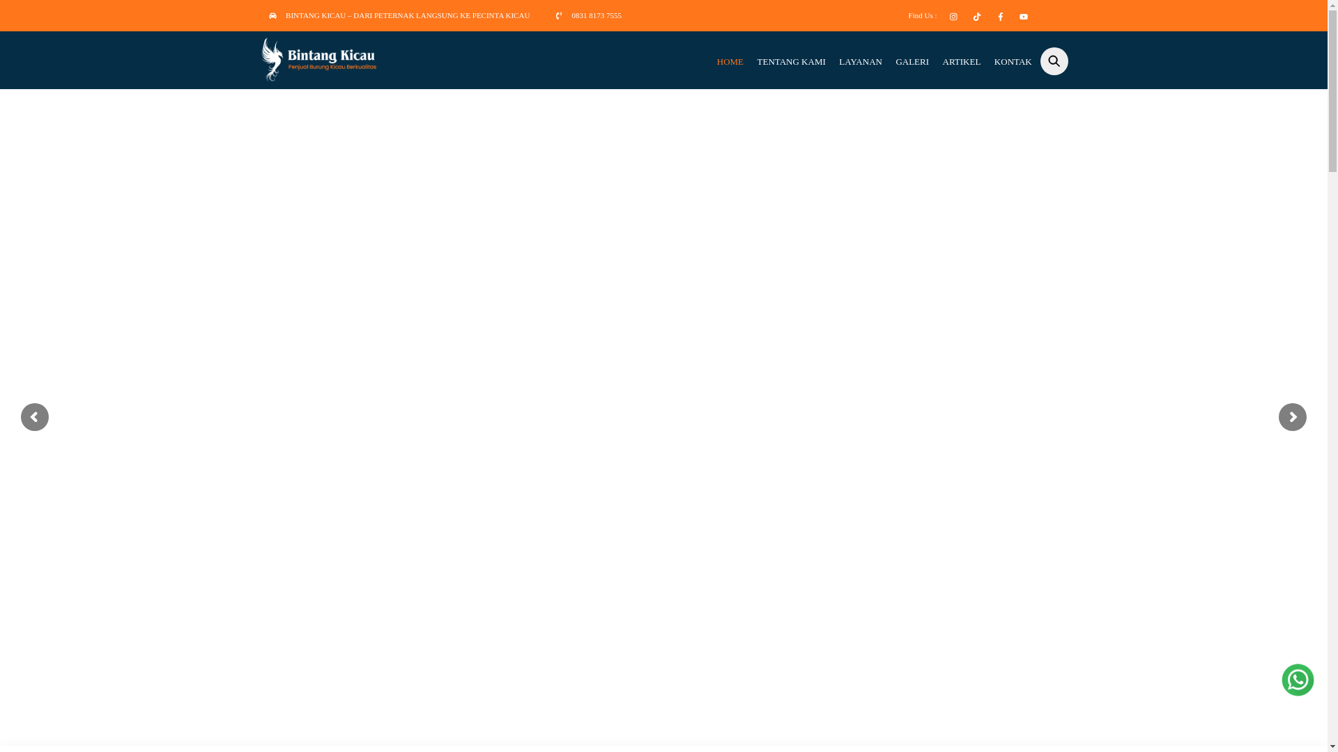 website screenshot of https://bintangkicau.com/