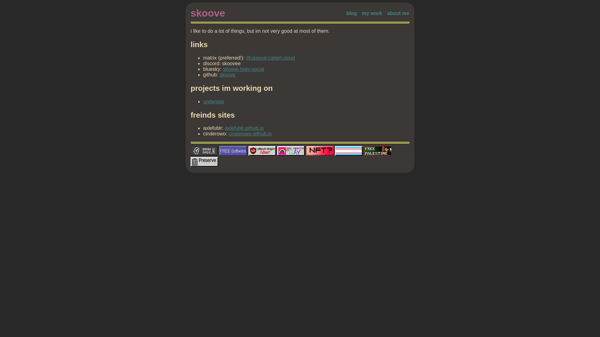 website screenshot of https://skoove.dev/