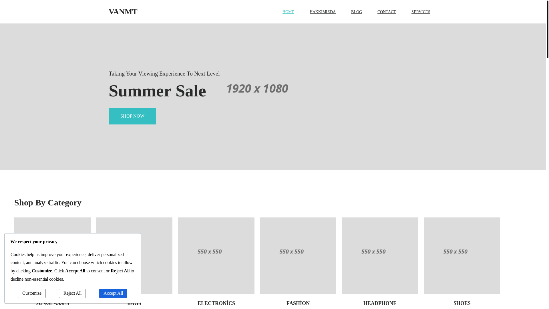 website screenshot of https://vanmt.com.tr/