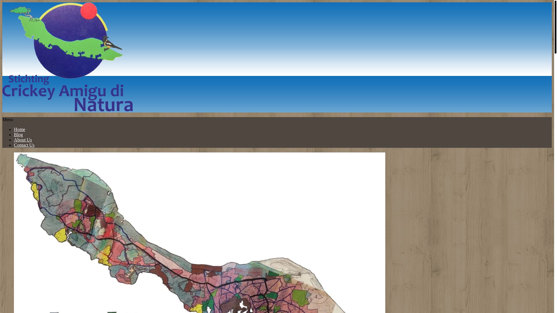 website screenshot of https://crickeyamigudinatura.com/