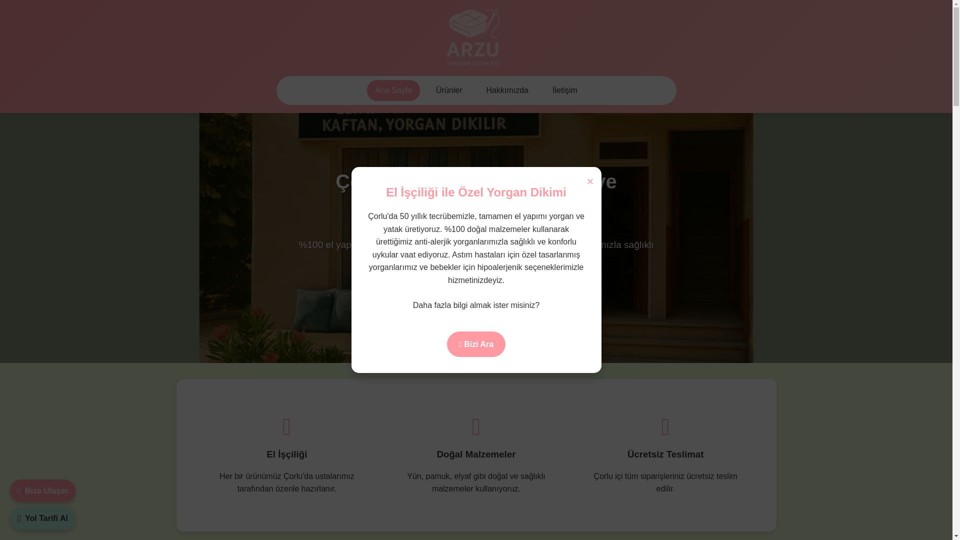 website screenshot of https://arzuyorgandikimevi.com.tr/