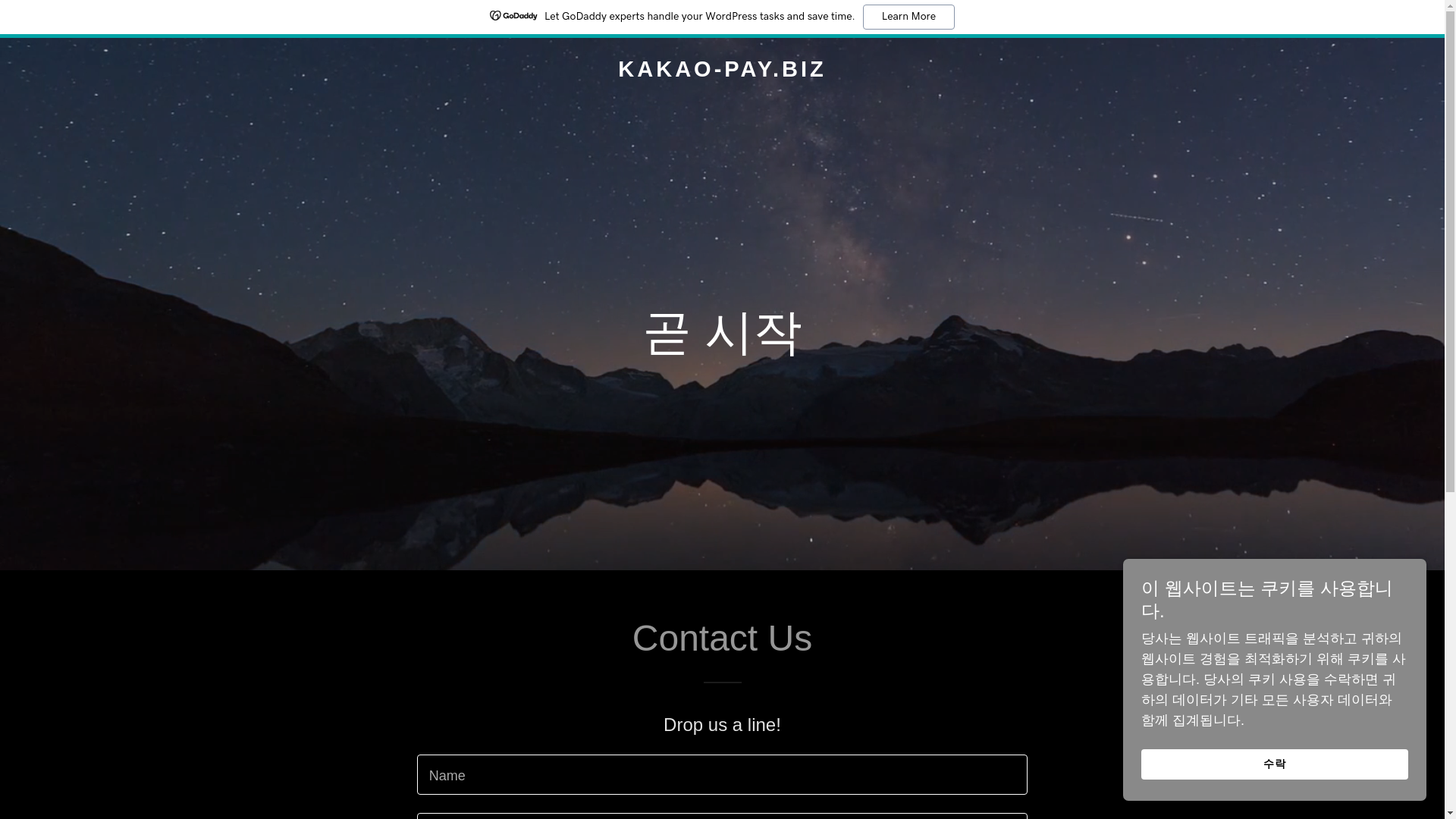 website screenshot of https://kakao-pay.biz/