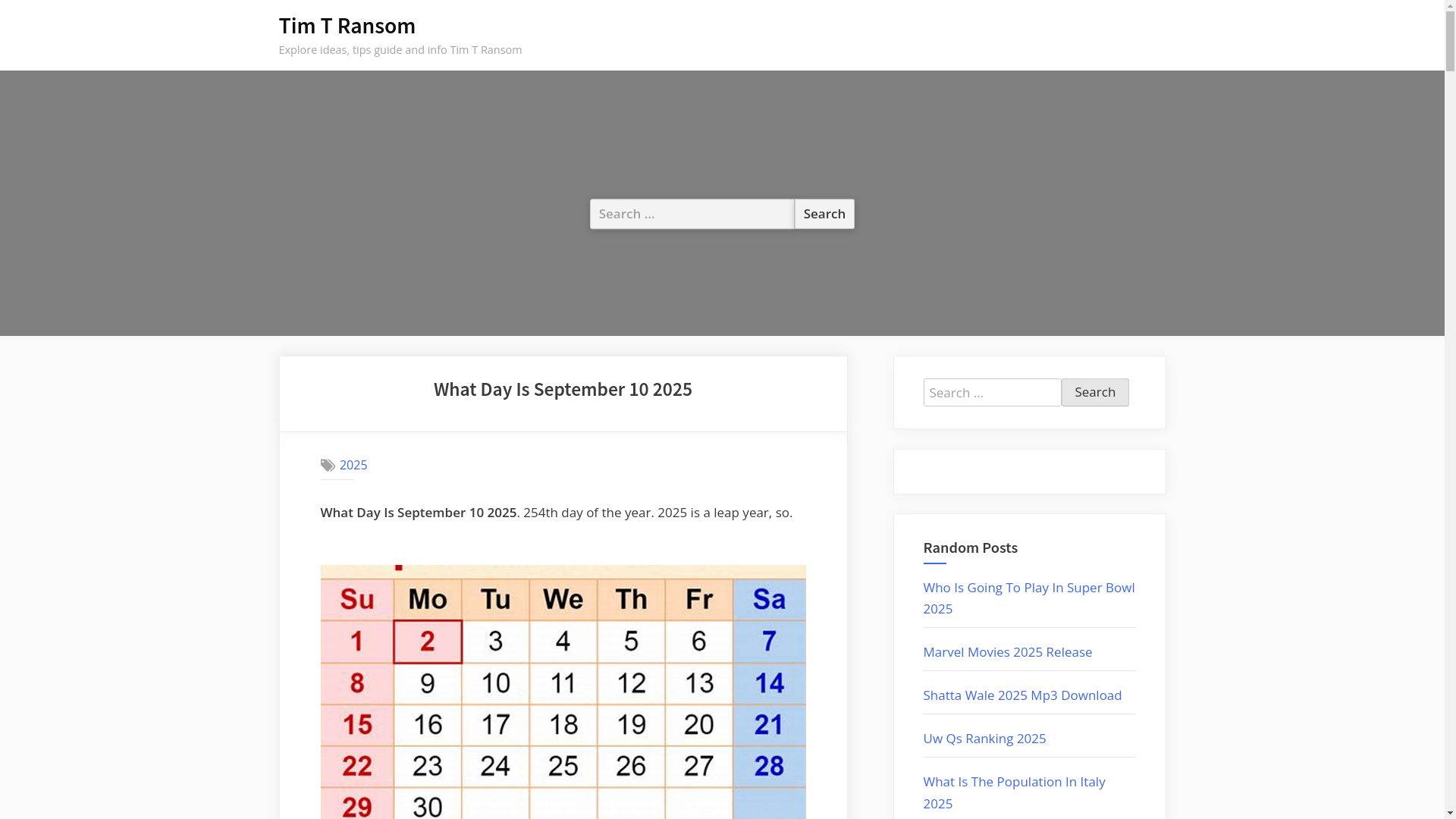 website screenshot of https://timtransomm.pages.dev/