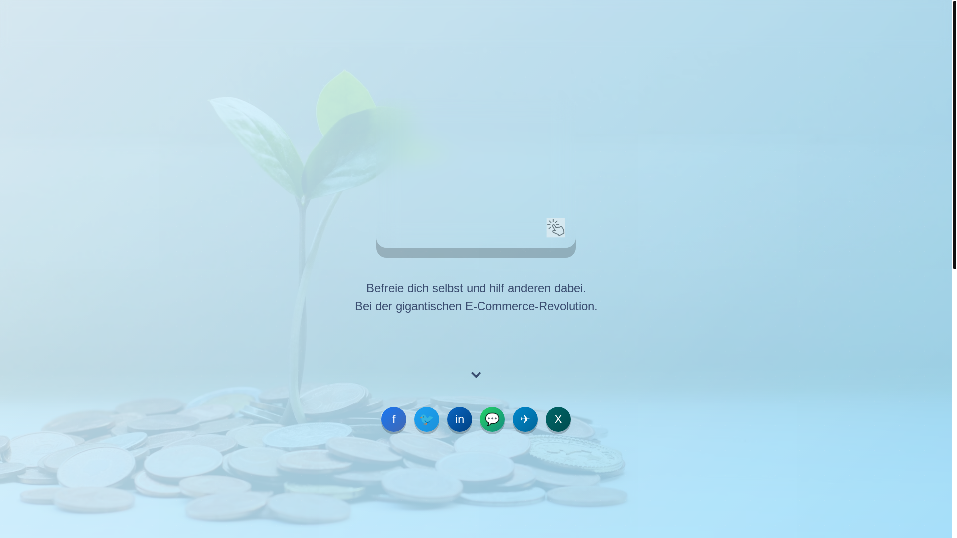 website screenshot of https://ecommerce-revolution.com/