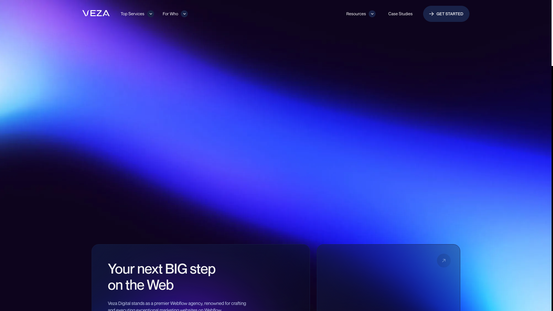 website screenshot of https://dgtlveza.com/