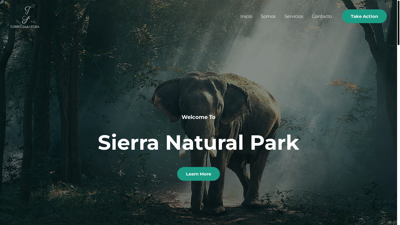 website screenshot of https://torressaavedra.com/