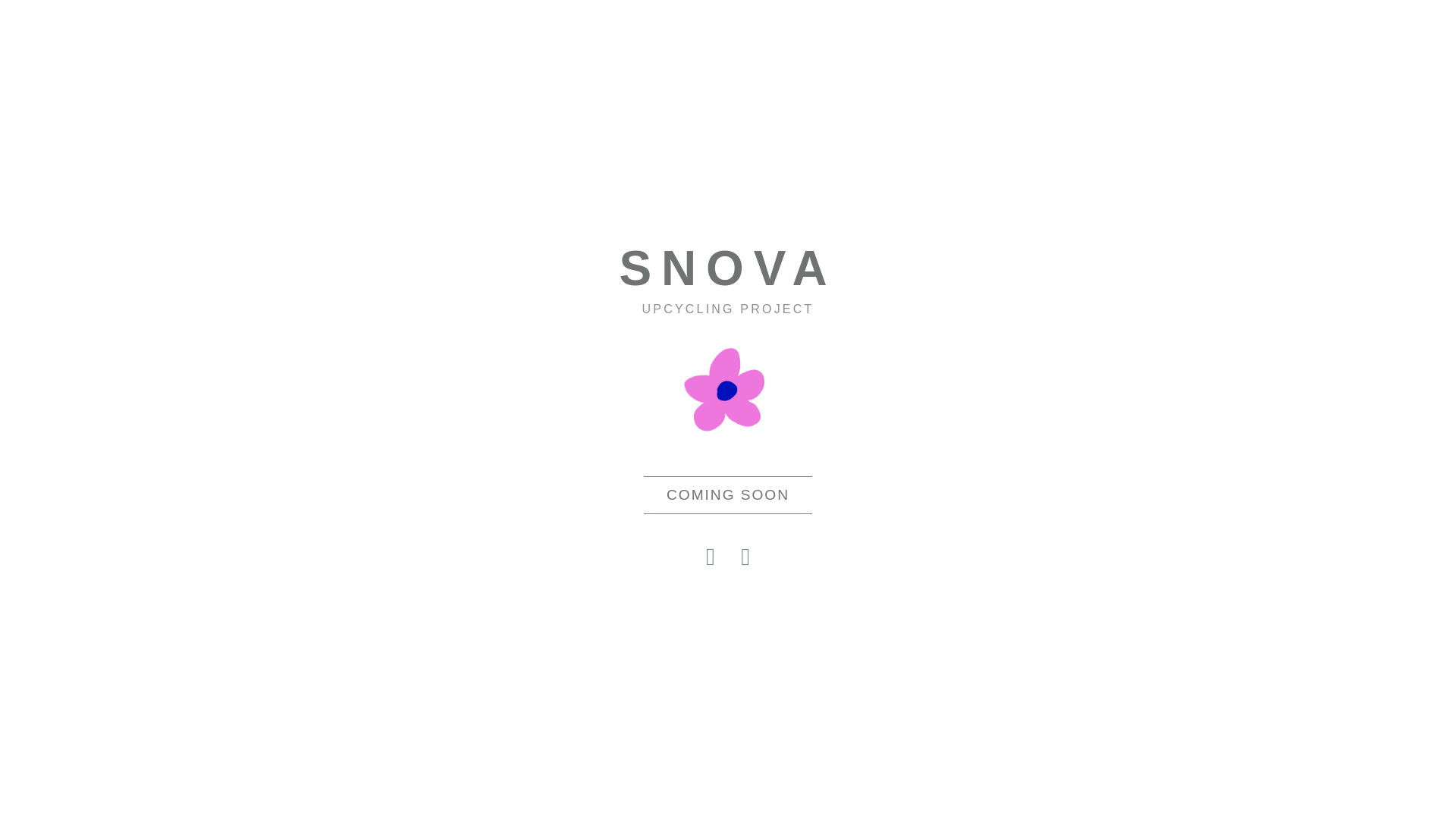 website screenshot of https://snova.eco/