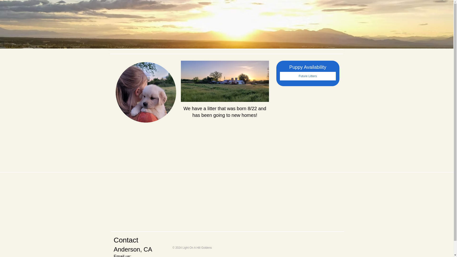 website screenshot of https://lightonahillgoldens.com/