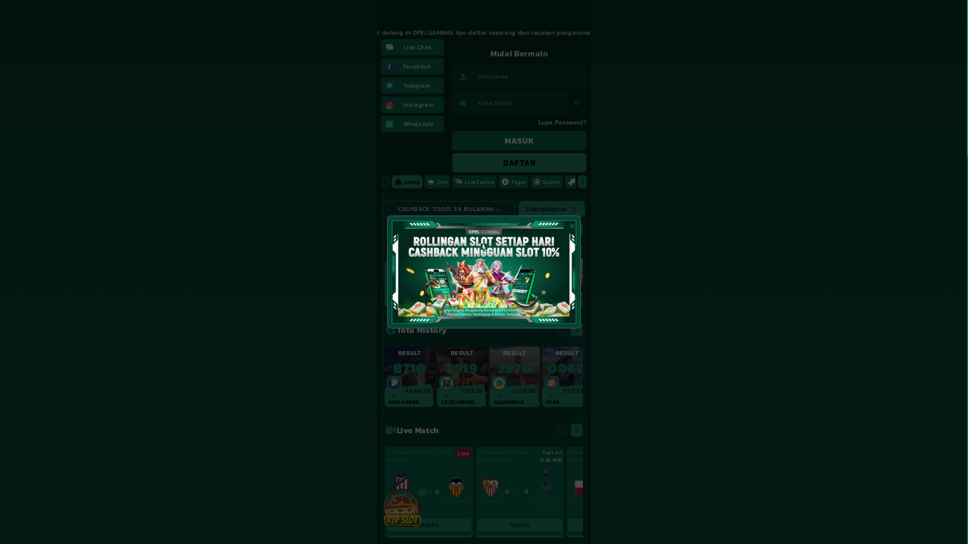 website screenshot of https://opelgenz.com/