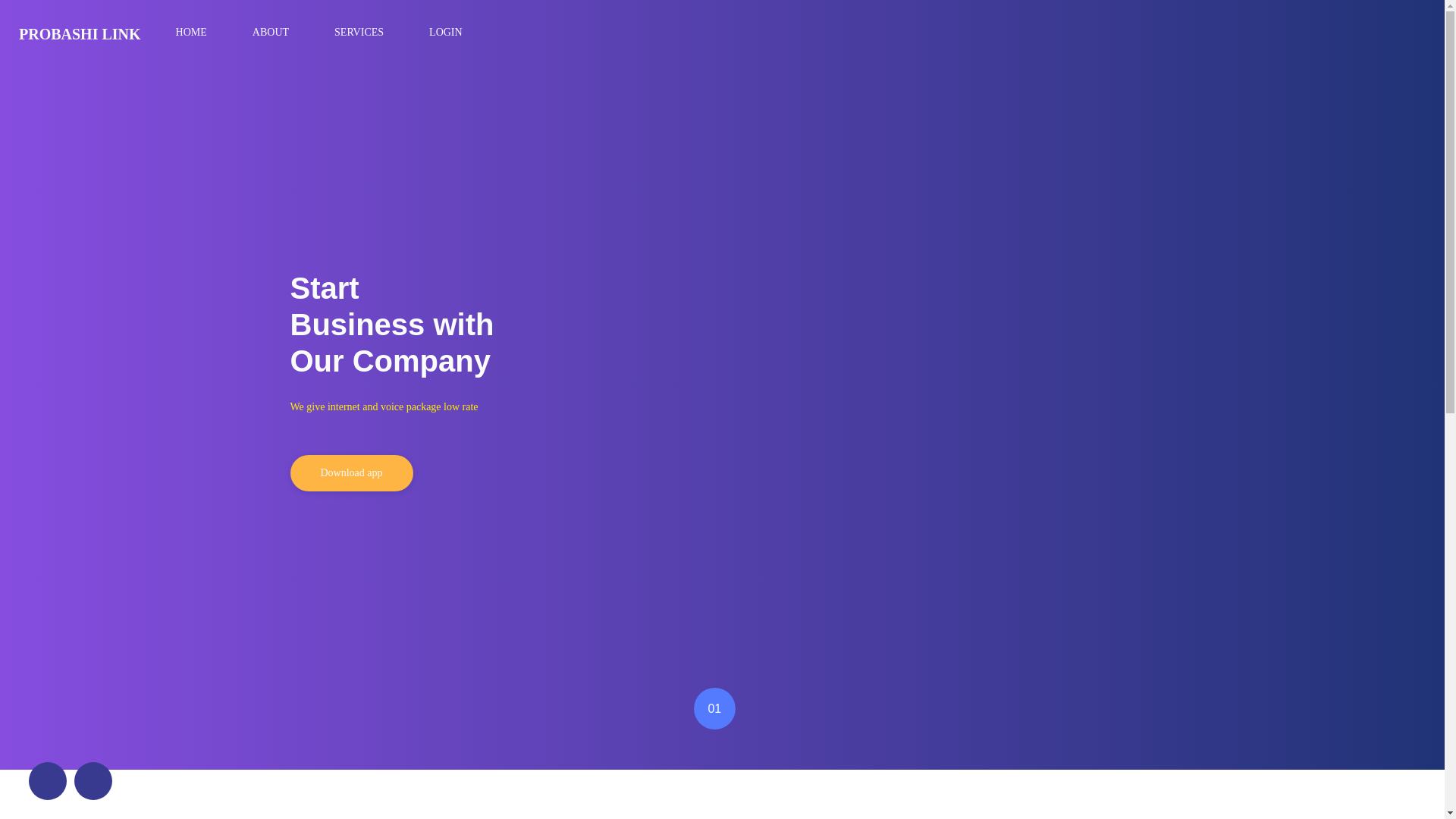 website screenshot of https://probashilink.top/