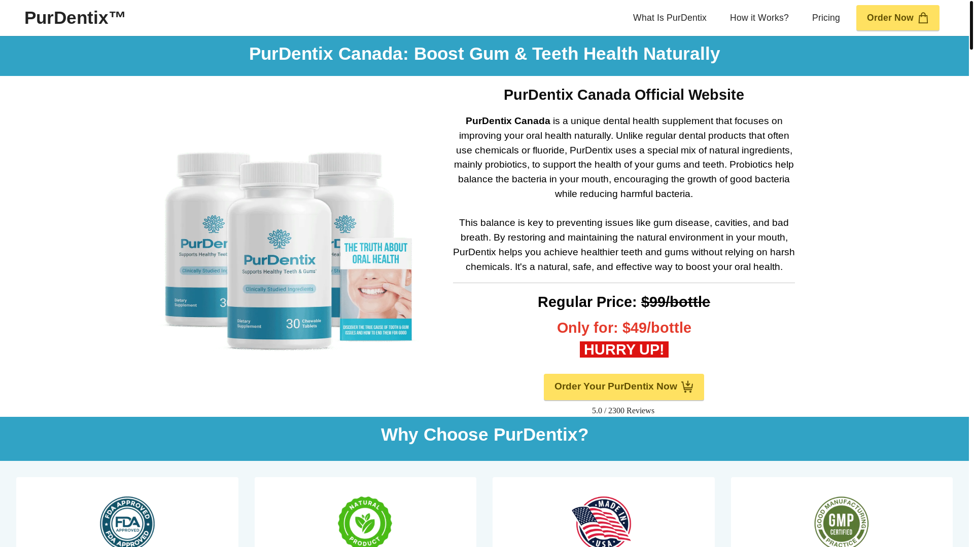 website screenshot of https://pur-purdentix.ca/