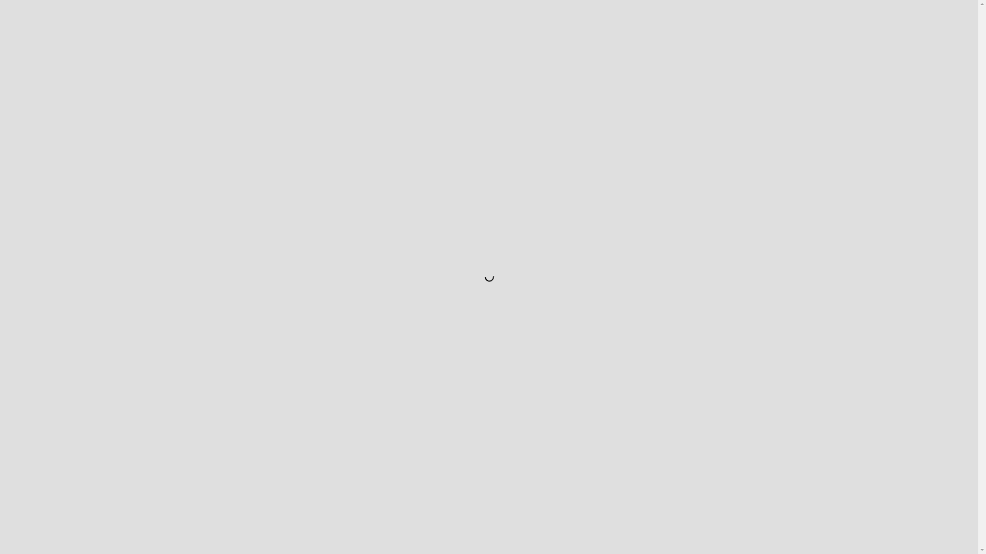 website screenshot of https://soudersenterprises.com/