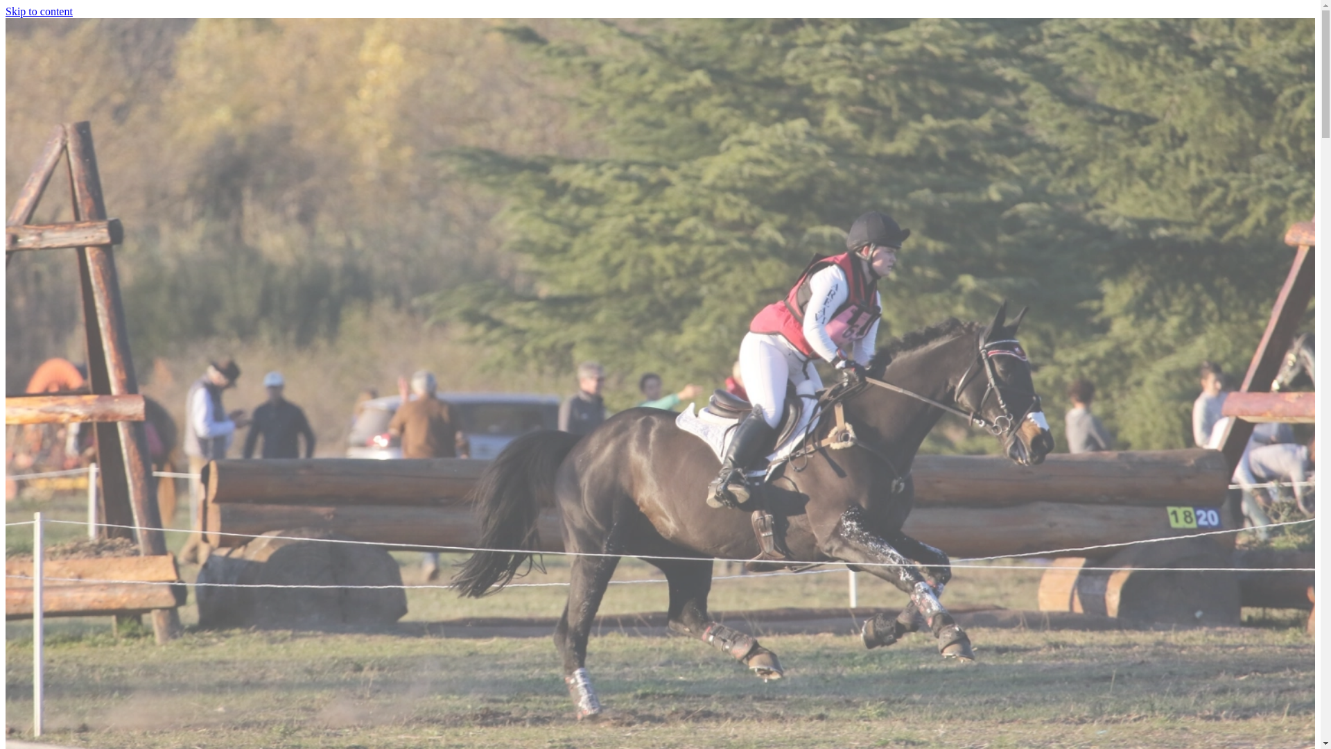 website screenshot of https://sophiehulmeequestrian.com/