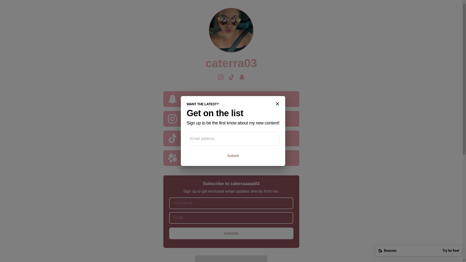 website screenshot of https://caterra03.com/