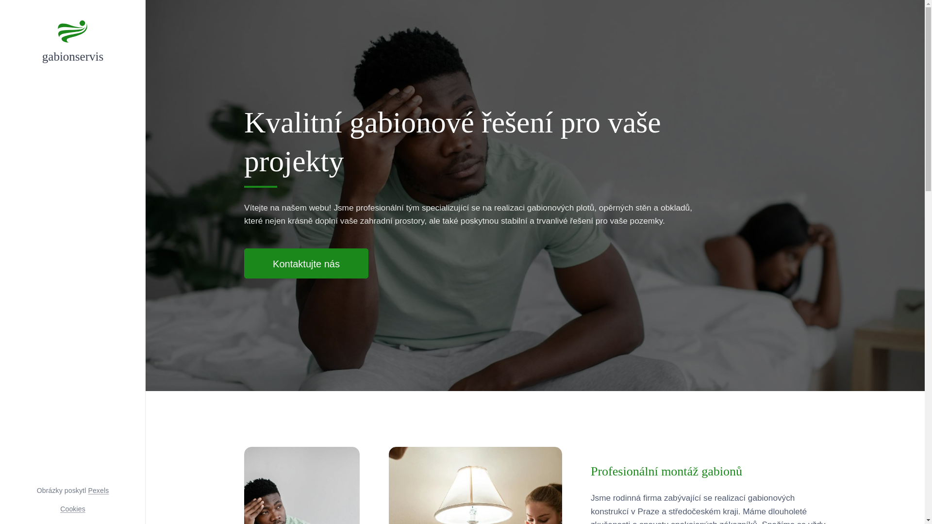 website screenshot of https://gabionstavby.cz/