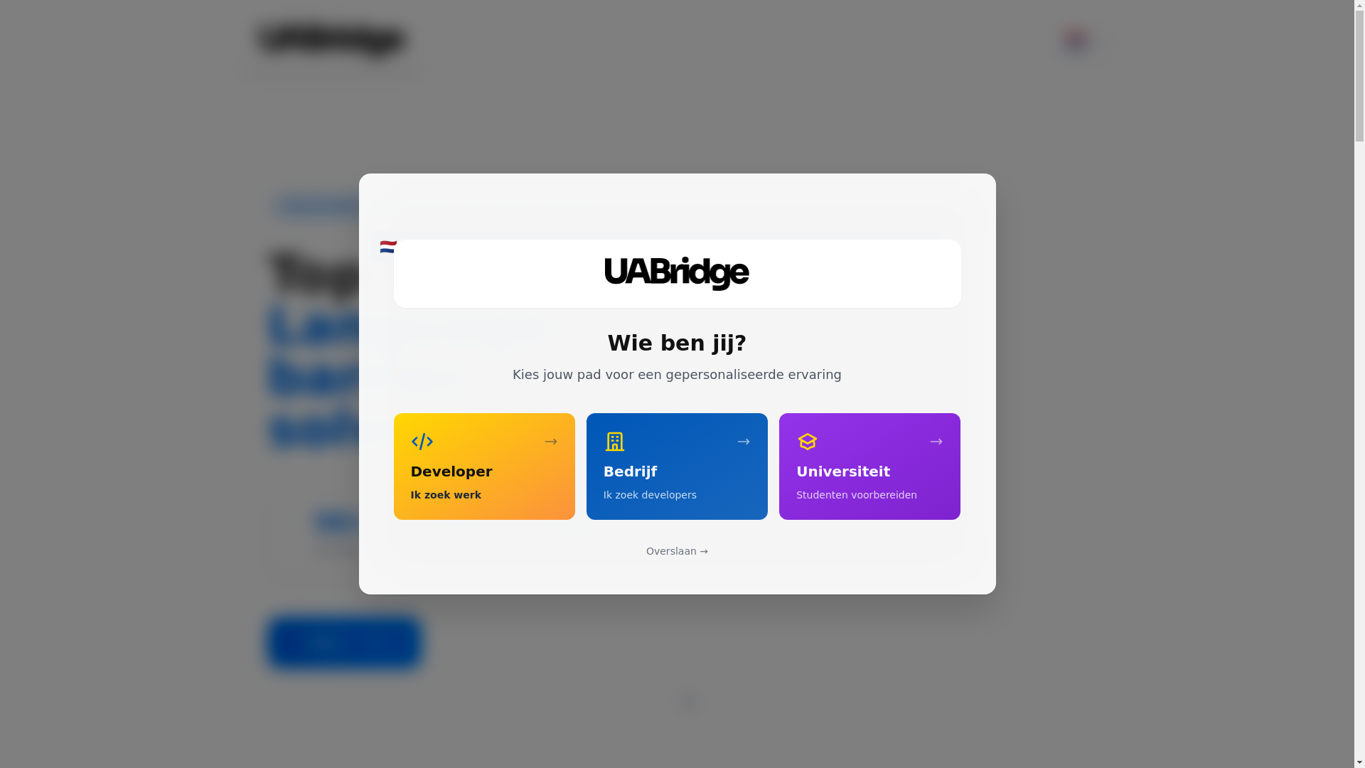 website screenshot of https://uabridge.eu/