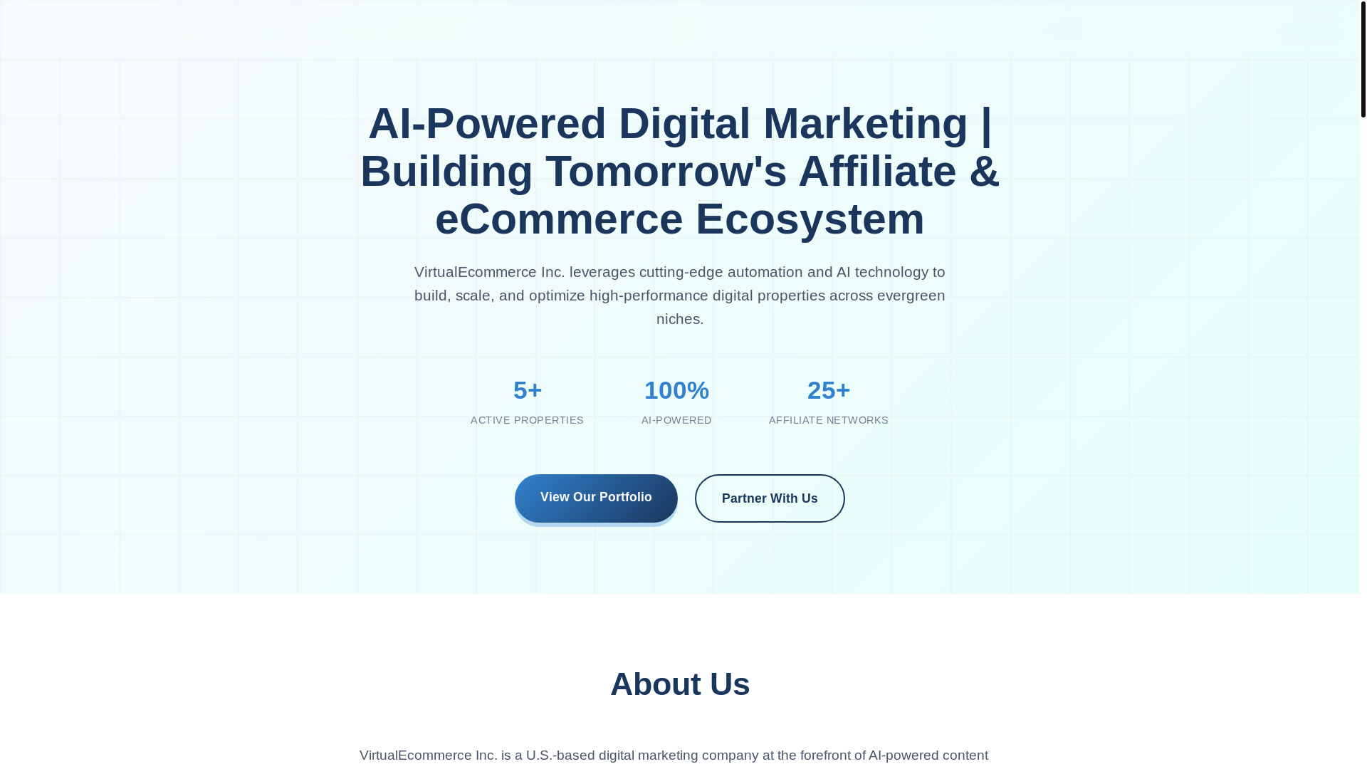 website screenshot of https://virtualecommerceinc.com/