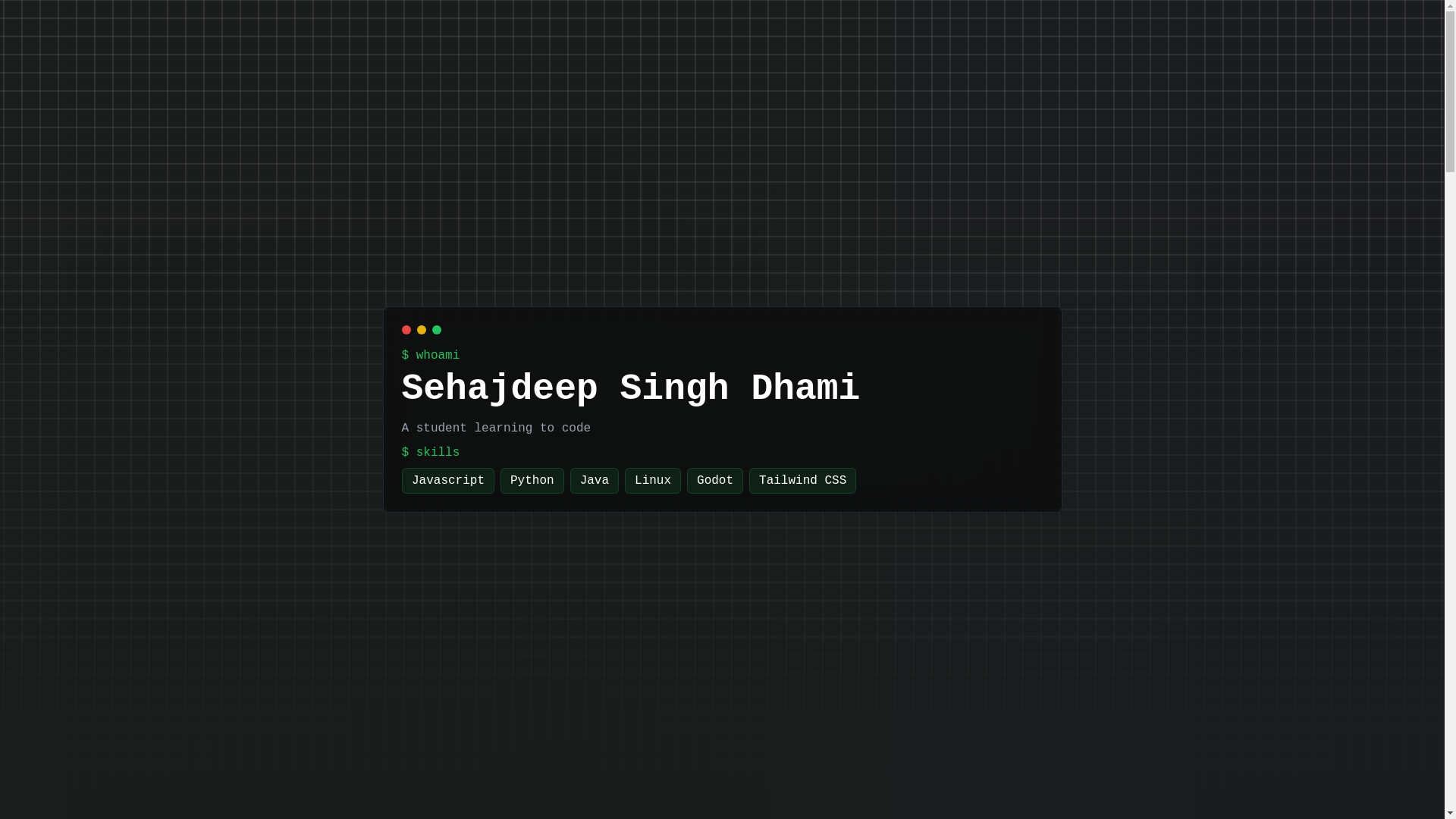 website screenshot of https://dhami.dev/