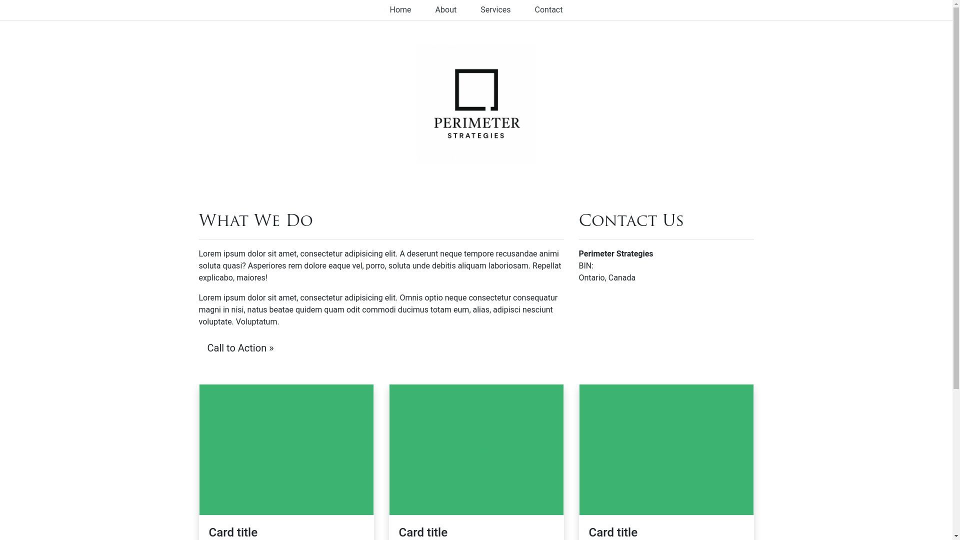 website screenshot of https://perimeterstrategies.org/