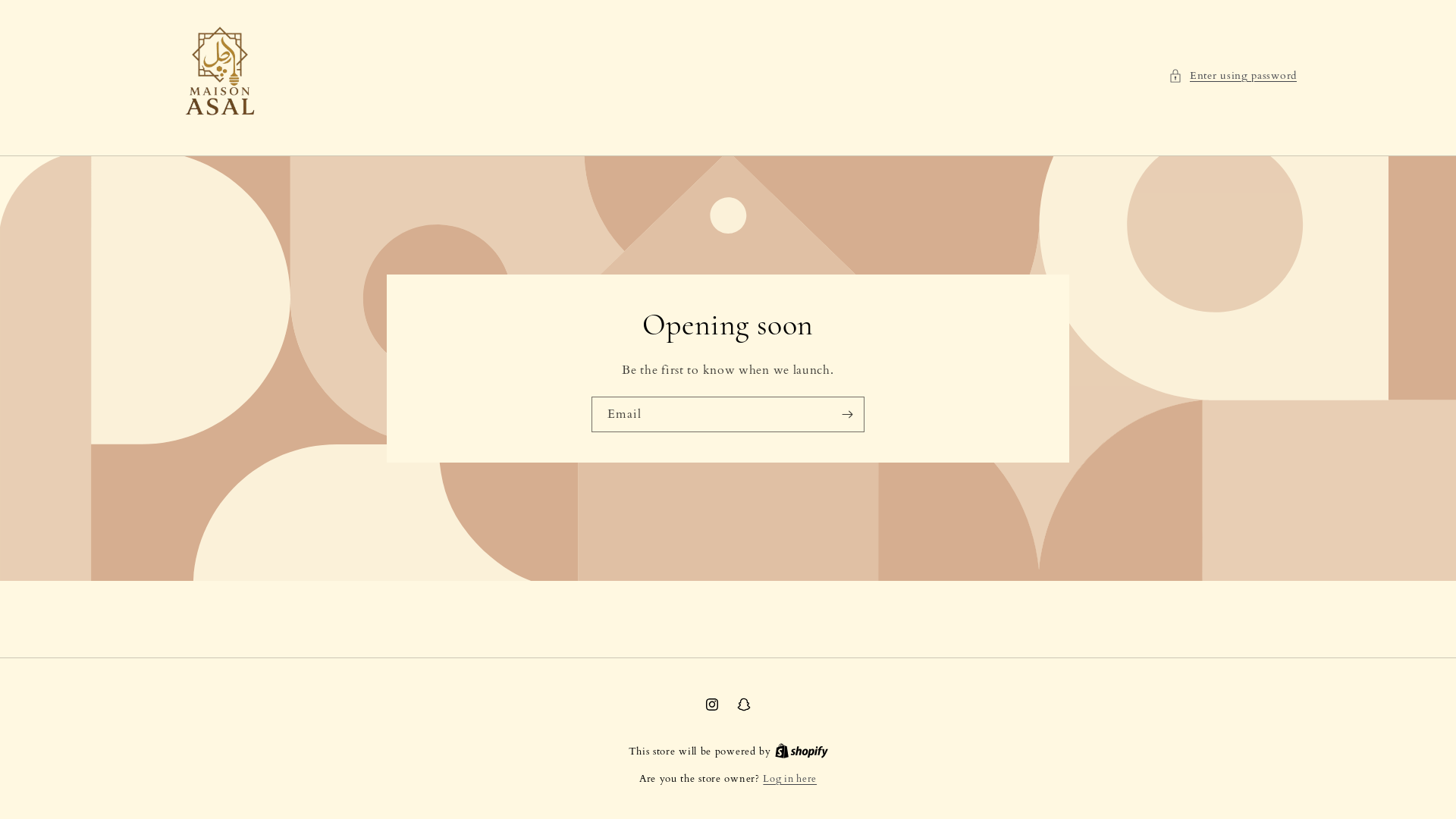 website screenshot of https://maisonasal.com/